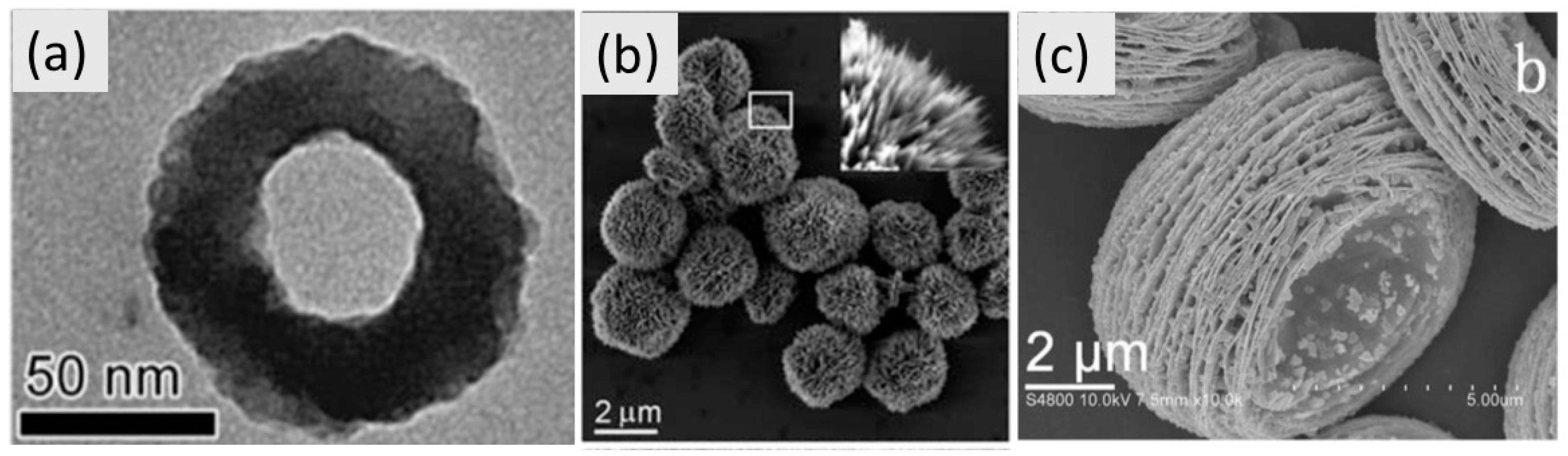 Molecules 26 02882 g009 Molecules 26 02882 g009
