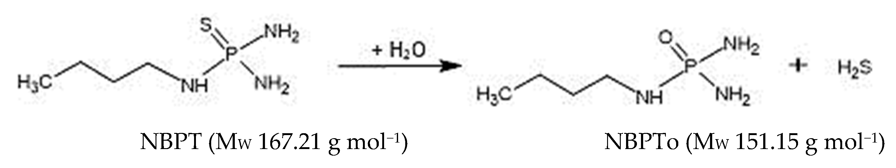 Molecules 26 02890 g001