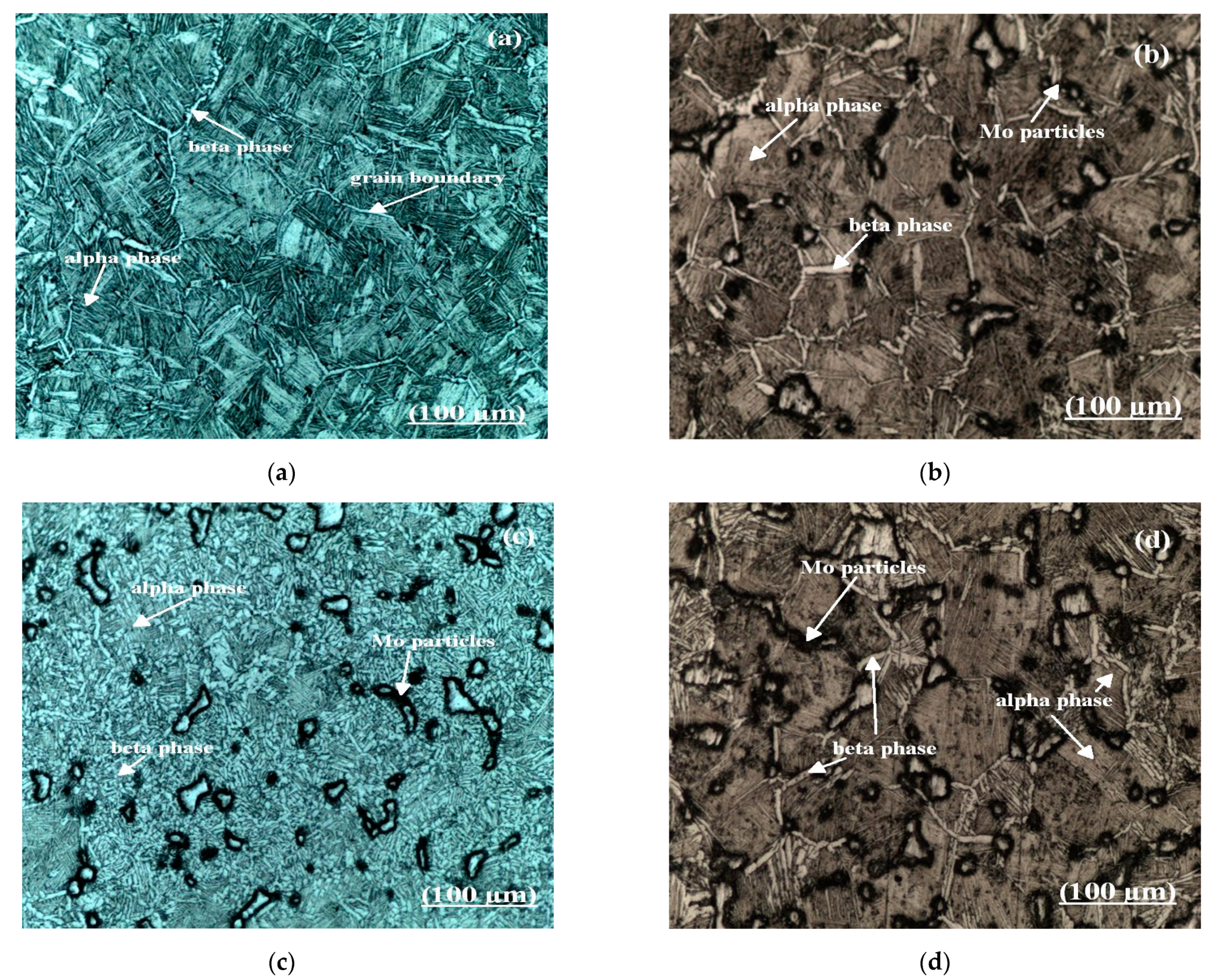 Molecules 26 02894 g003 Molecules 26 02894 g003