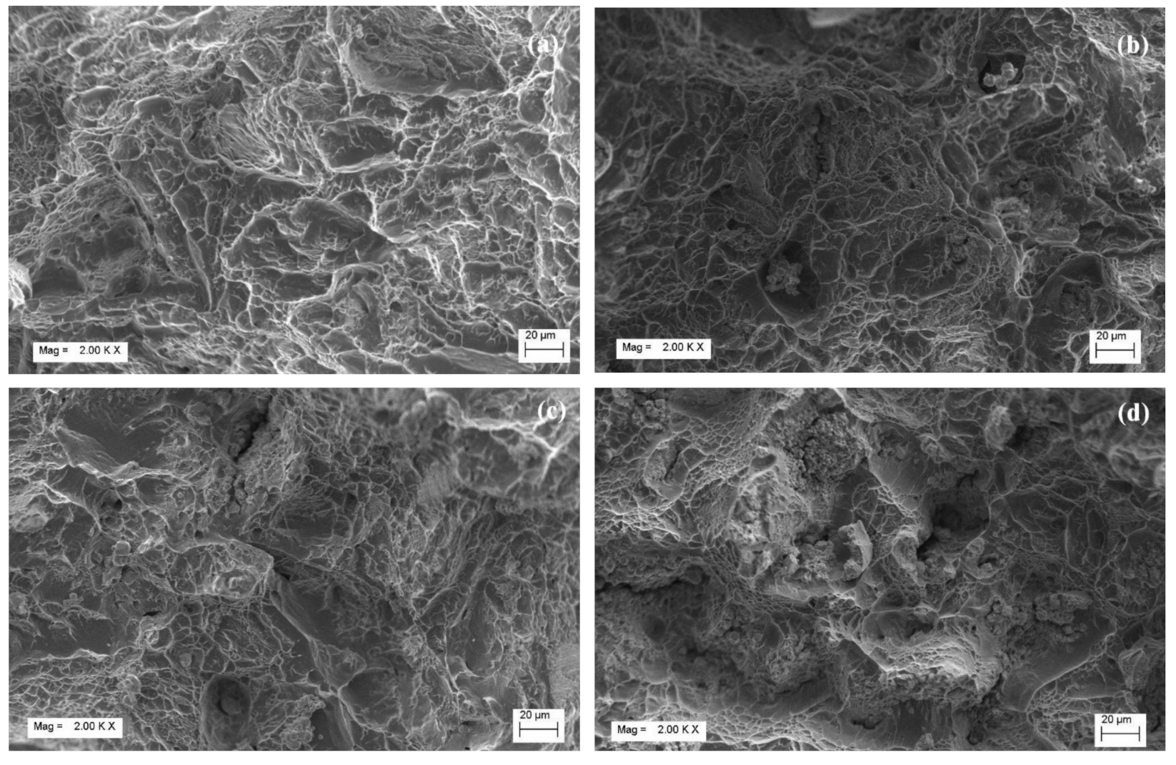 Molecules 26 02894 g006 Molecules 26 02894 g006