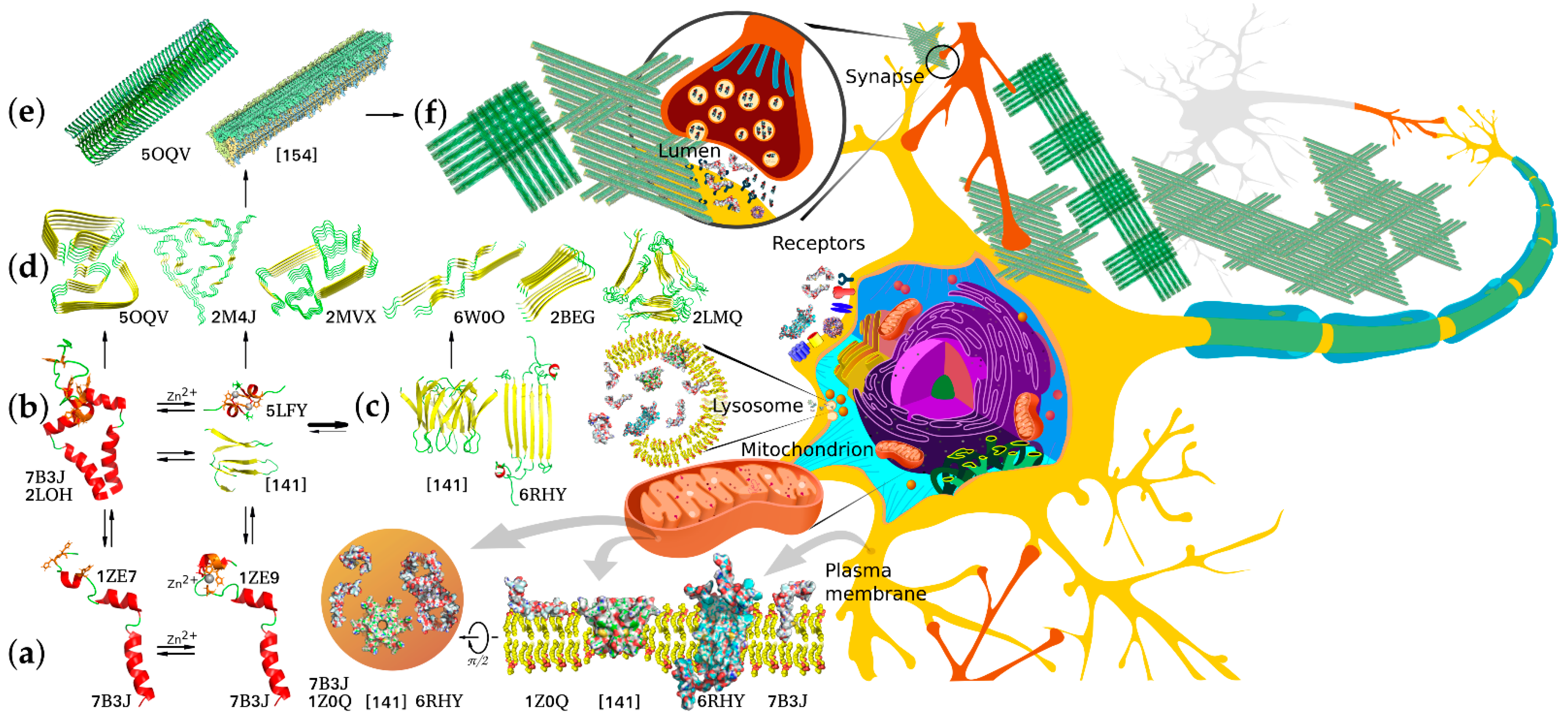 Molecules 26 02897 g002 Molecules 26 02897 g002
