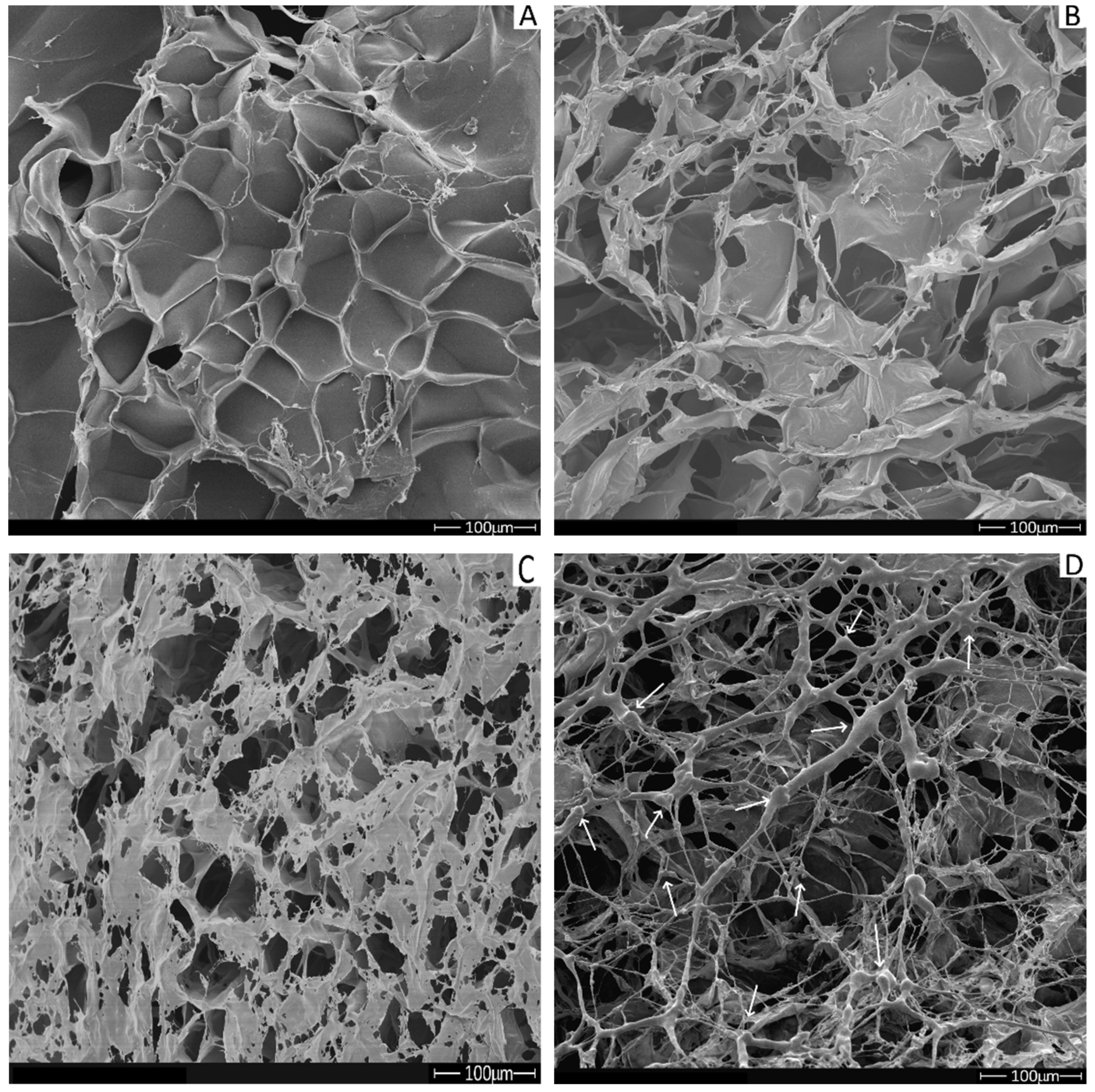 Molecules 26 02899 g008 Molecules 26 02899 g008