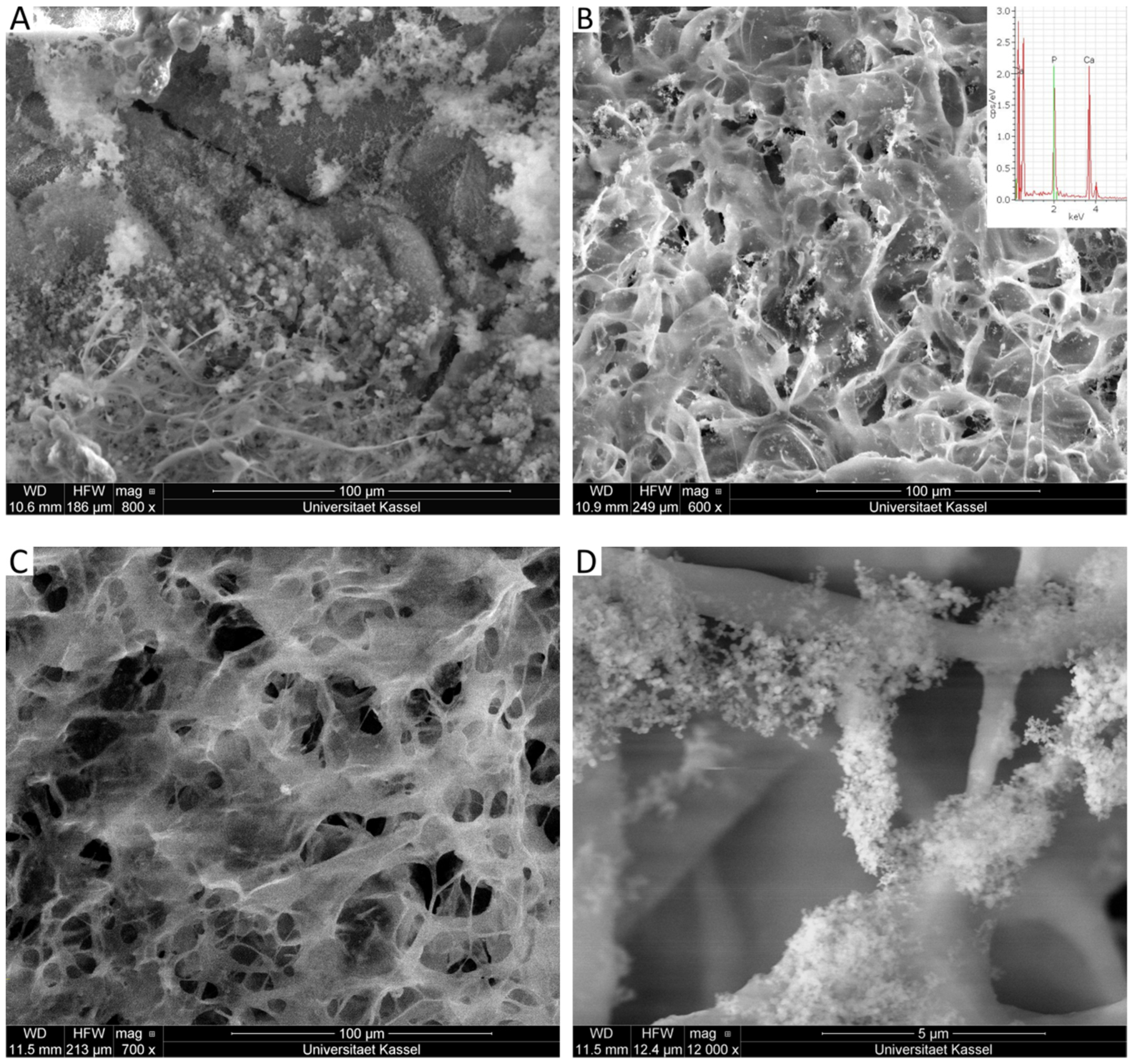 Molecules 26 02899 g009 Molecules 26 02899 g009