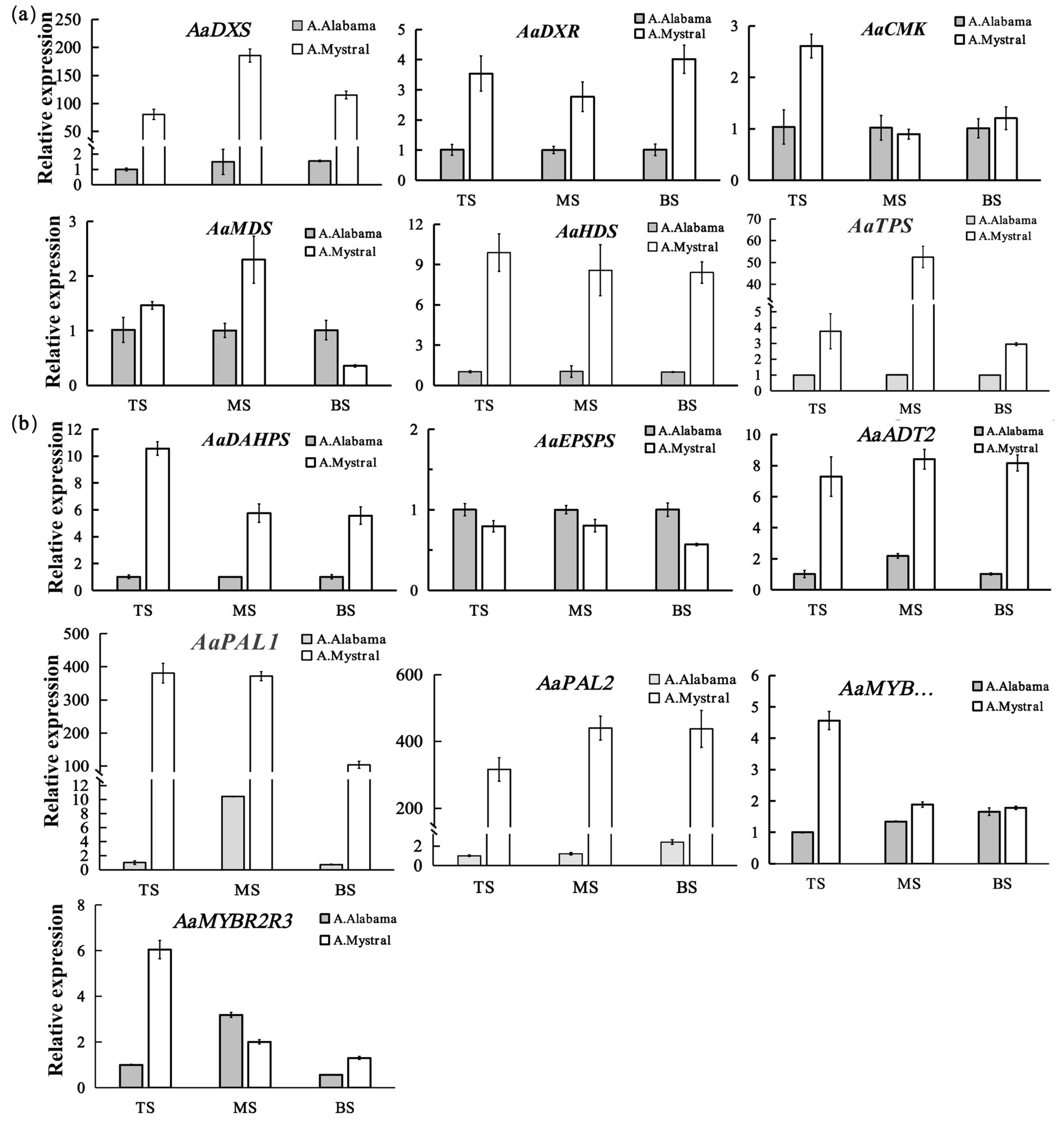 Molecules 26 02902 g003 Molecules 26 02902 g003