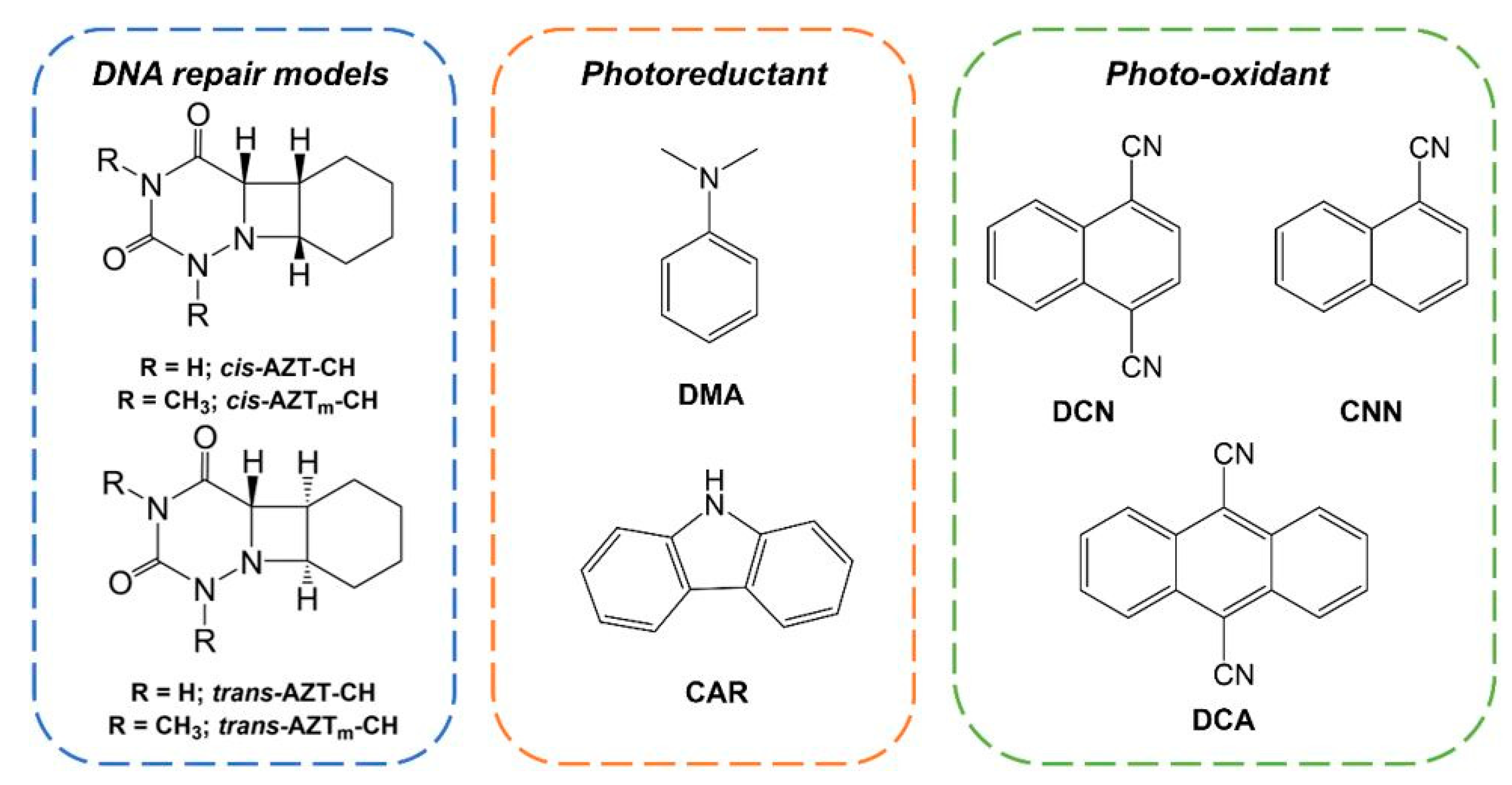 Molecules 26 02911 g001 Molecules 26 02911 g001