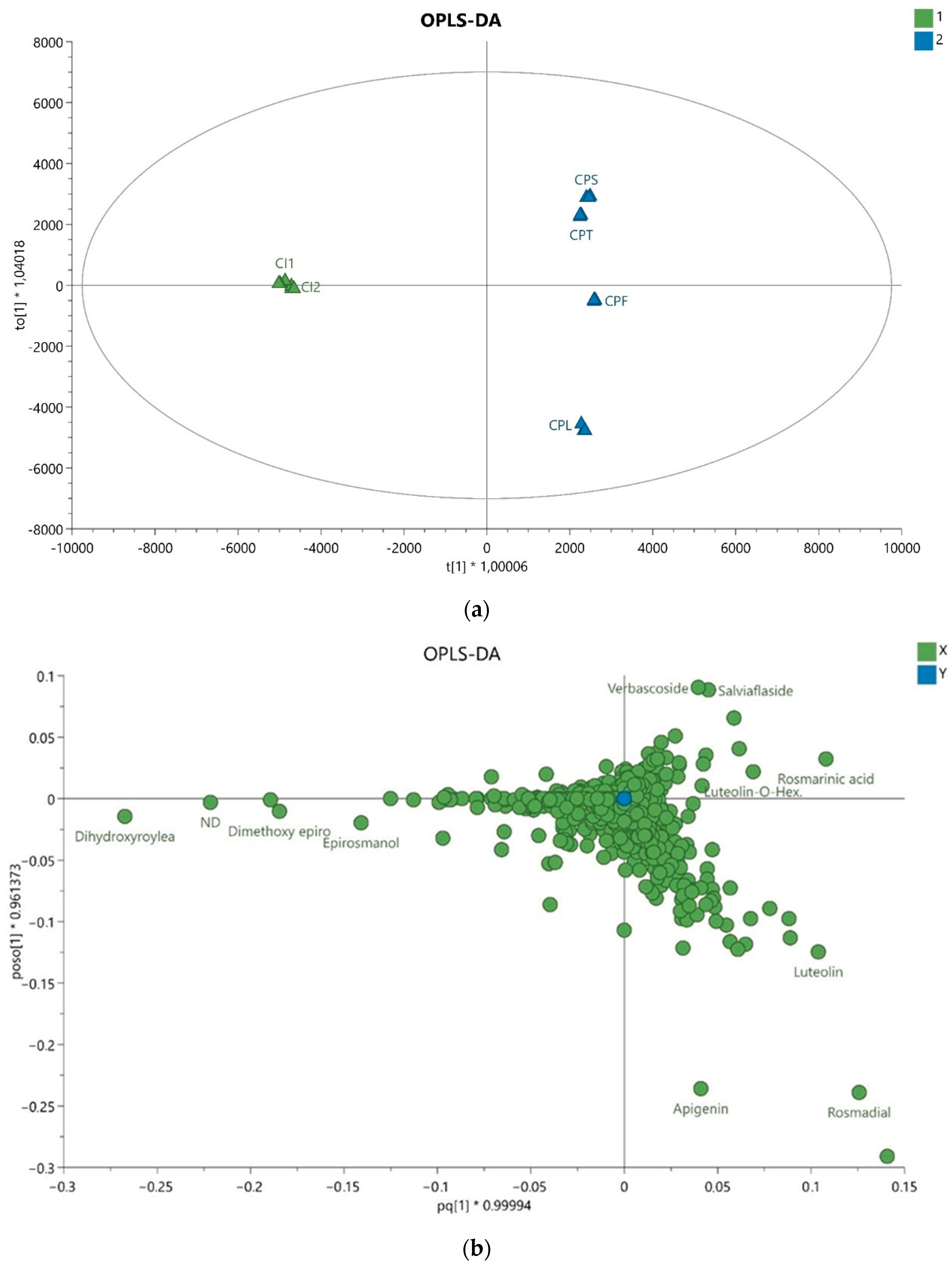 Molecules 26 02915 g003 Molecules 26 02915 g003