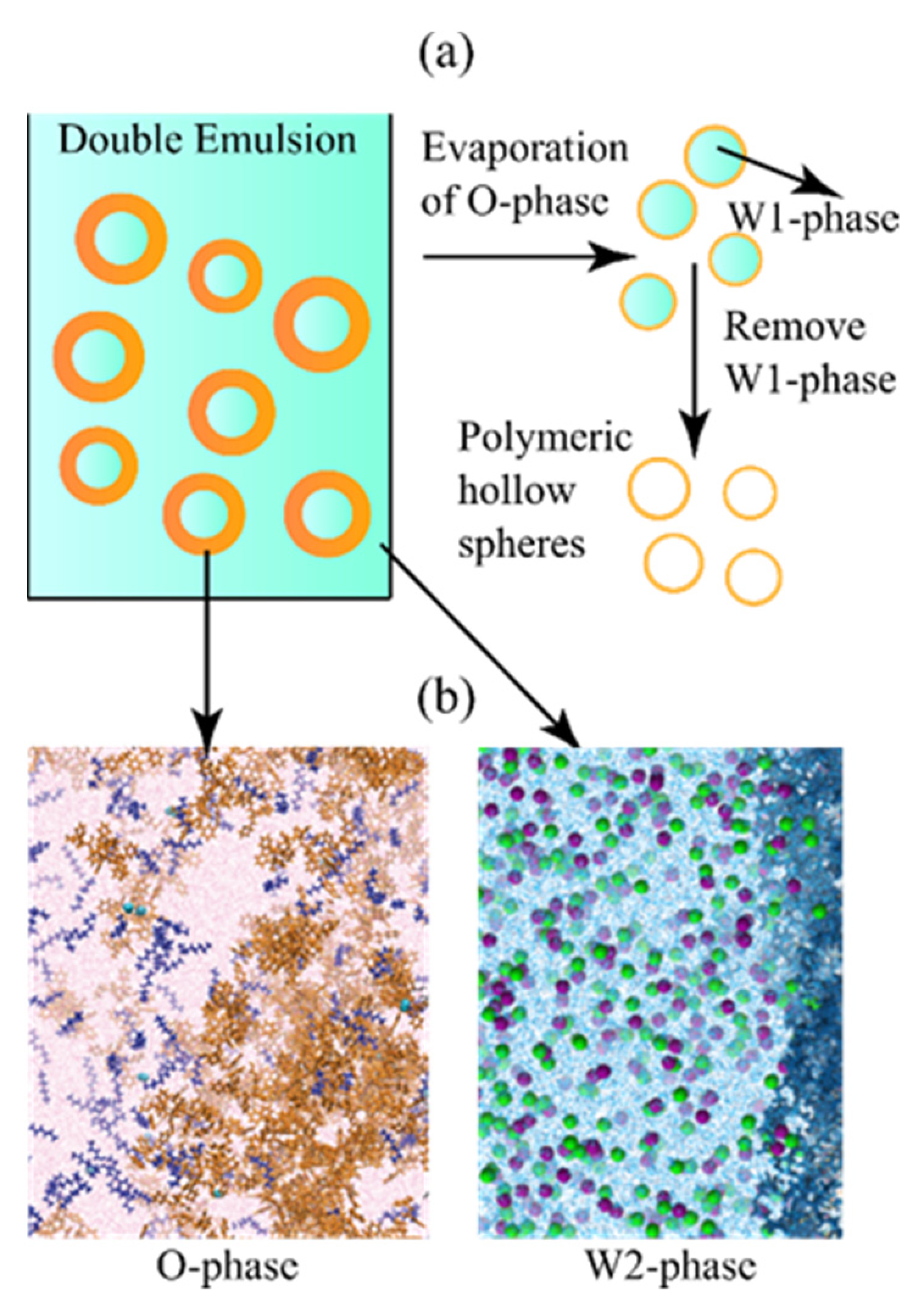 Molecules 26 02991 g001