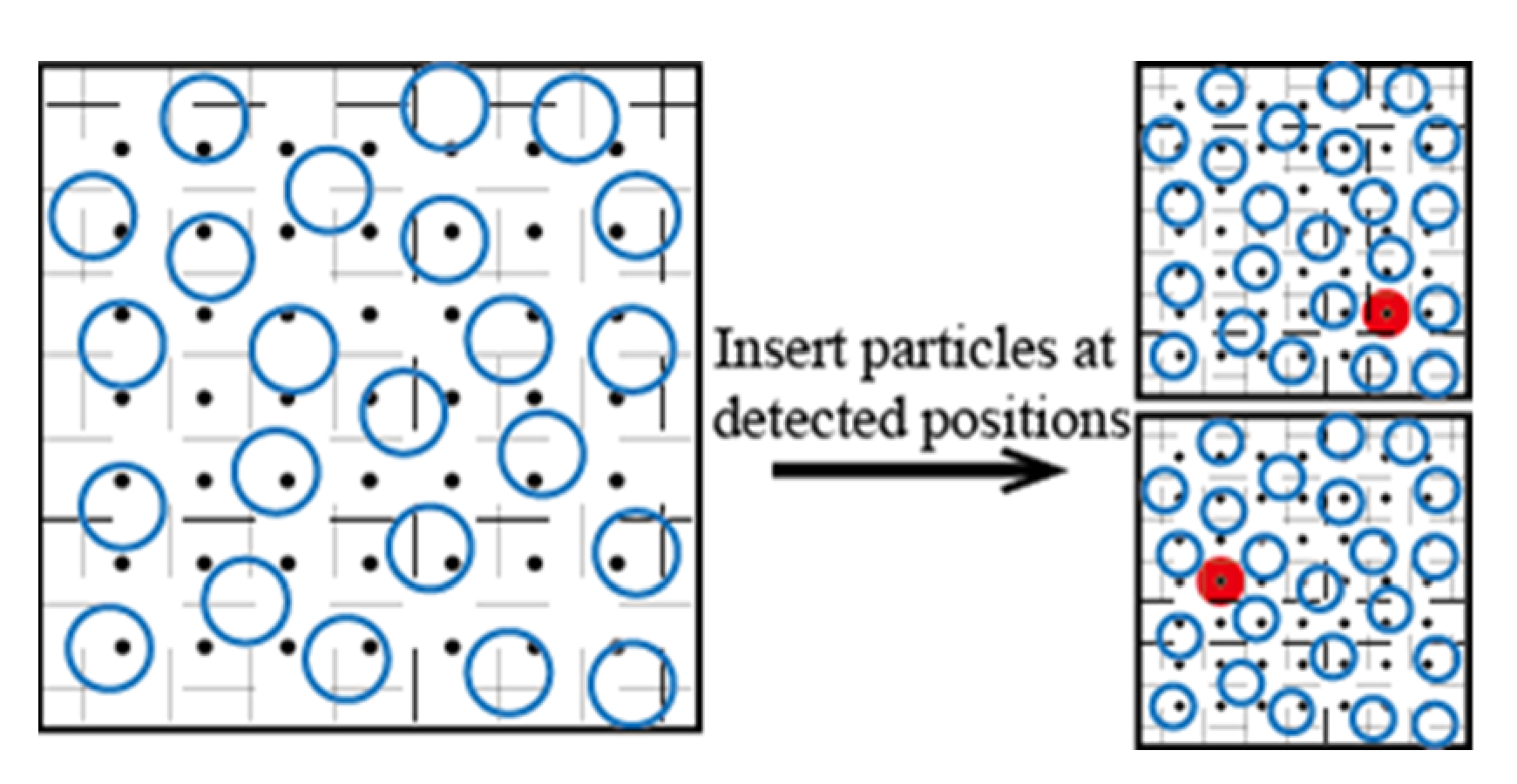 Molecules 26 02991 g003