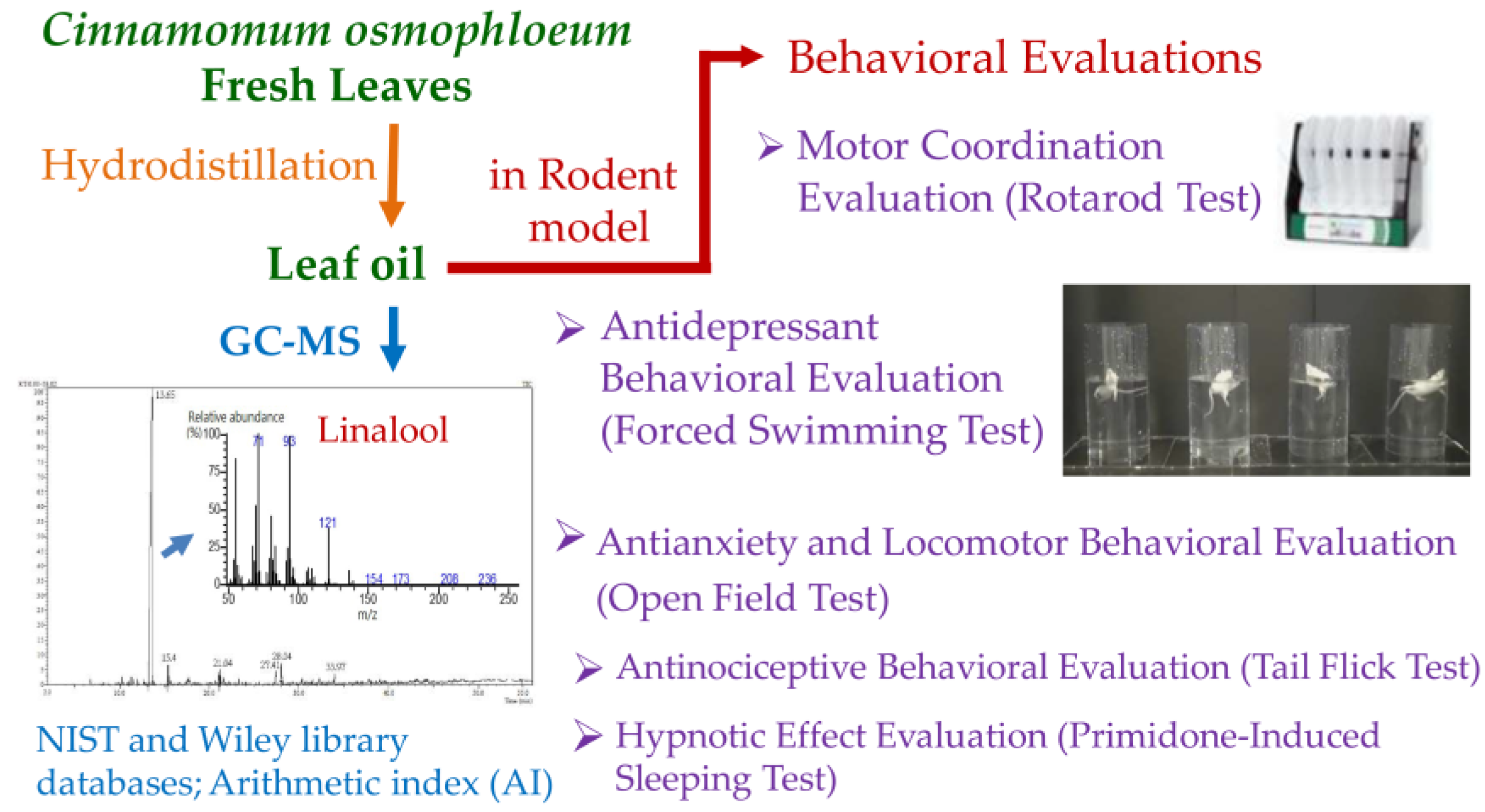 Molecules 26 03037 g001 Molecules 26 03037 g001