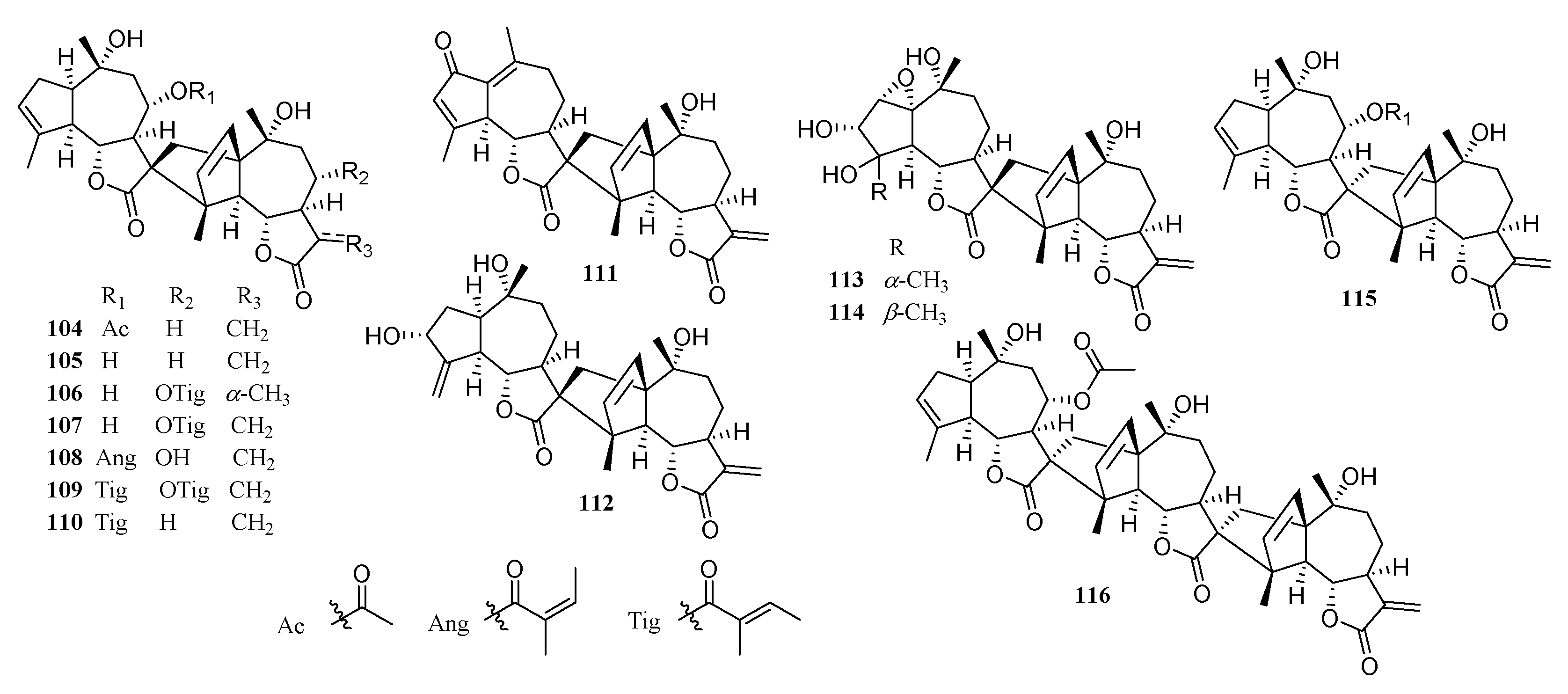 Molecules 26 03038 g005 Molecules 26 03038 g005
