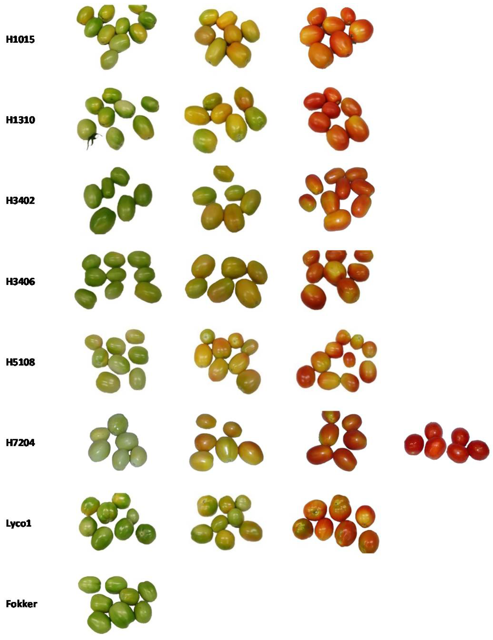 Molecules 26 03068 g007 Molecules 26 03068 g007
