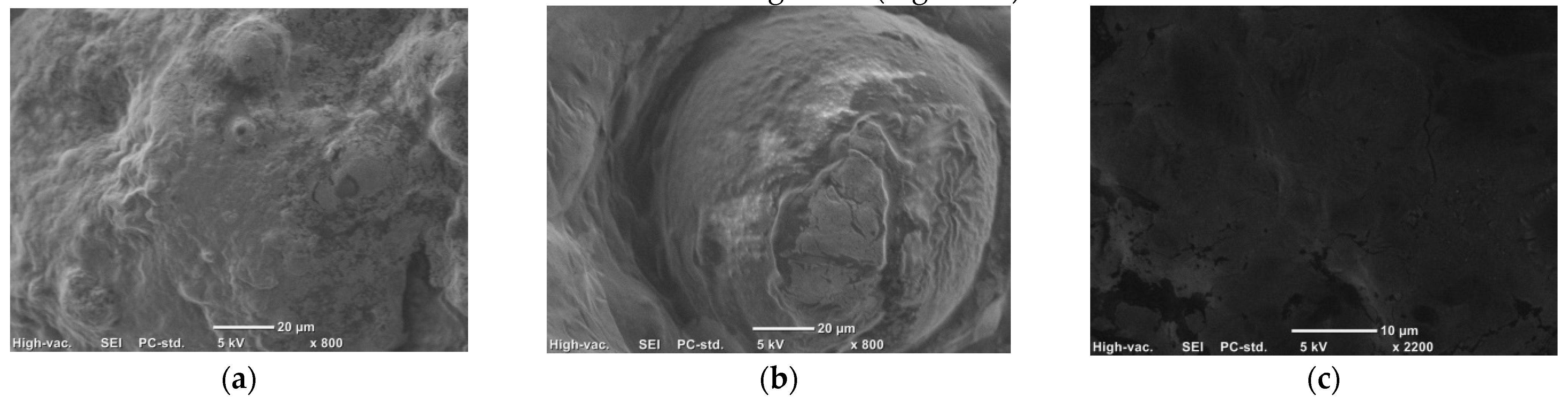 Molecules Free Full Text Olive Oil With Ozone Modified Properties And Its Application Html