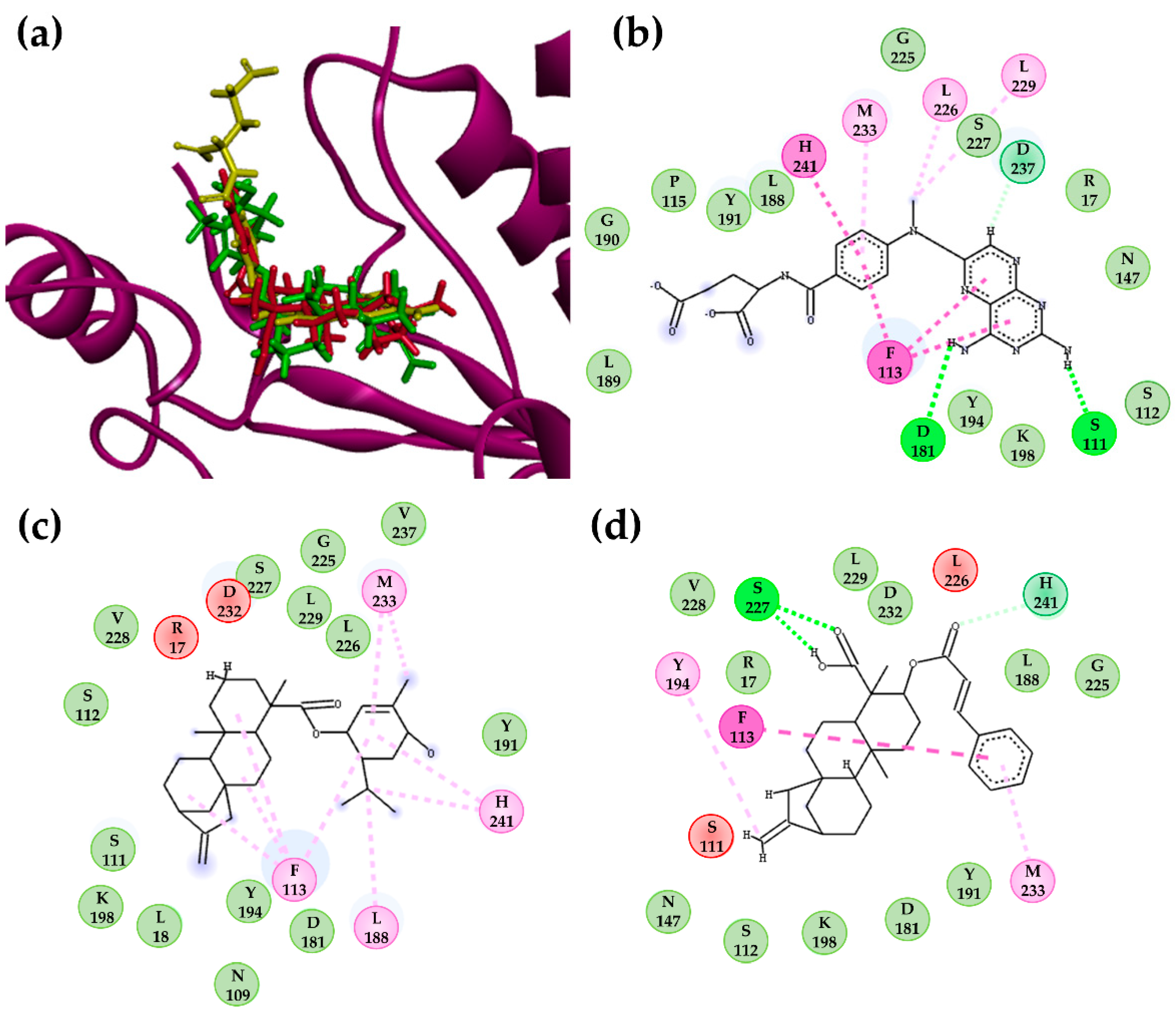 Molecules Free Full Text Identification Of Kaurane Type Diterpenes As Inhibitors Of Leishmania Pteridine Reductase I Html