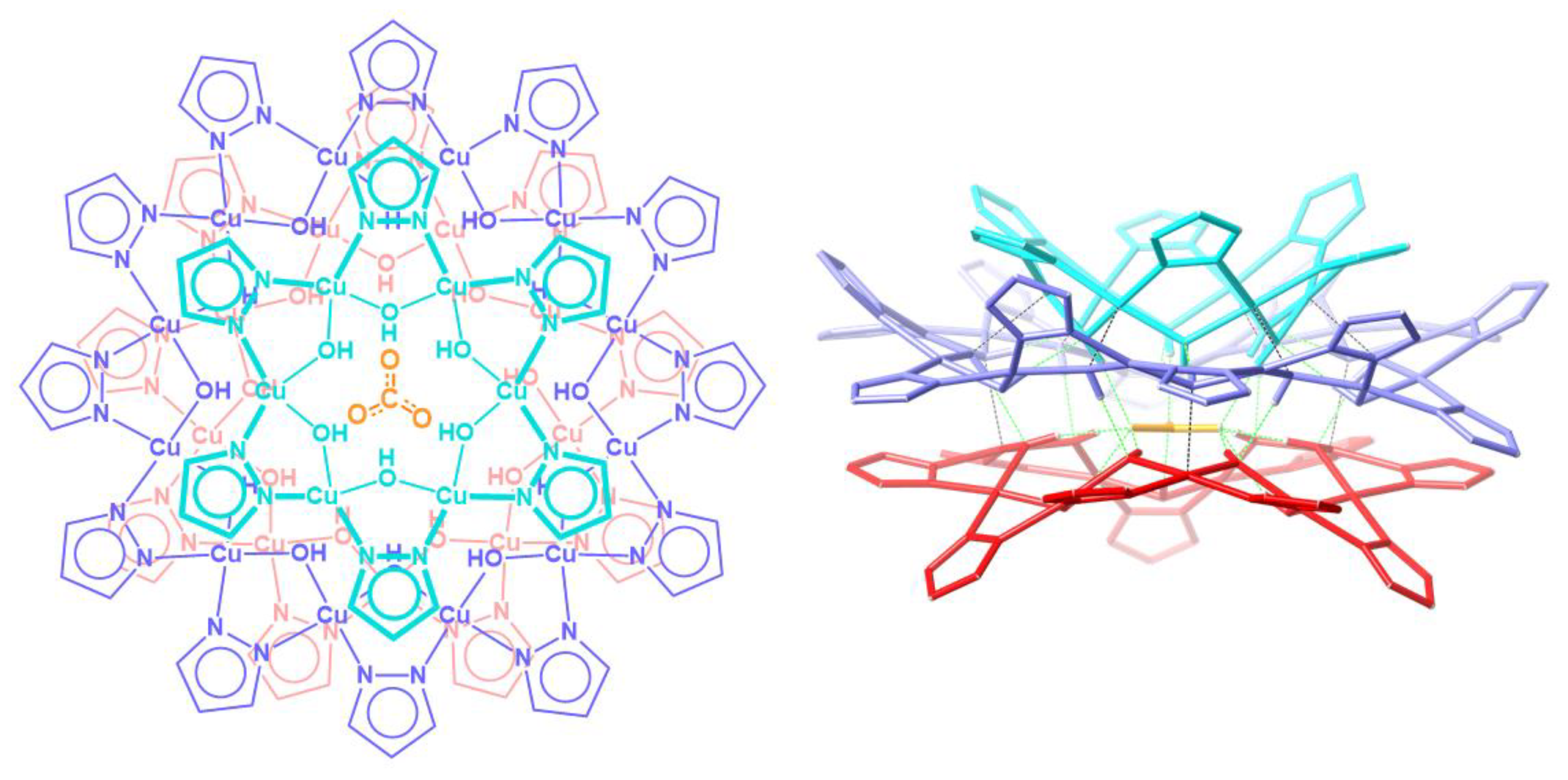 Molecules 26 03083 g001