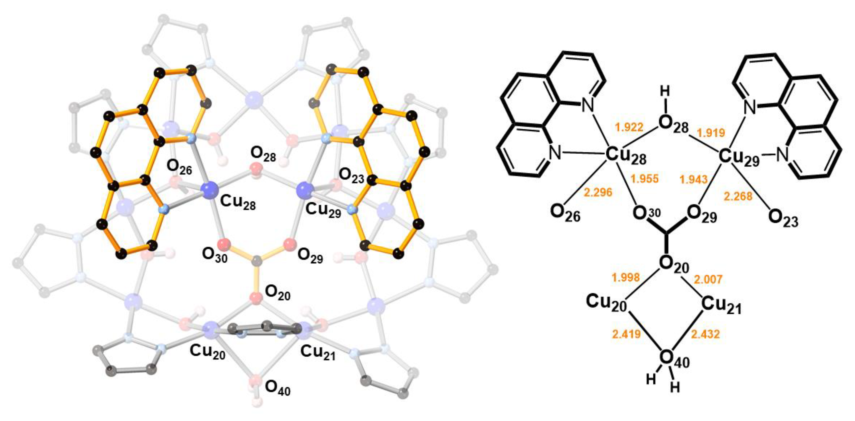 Molecules 26 03083 g003