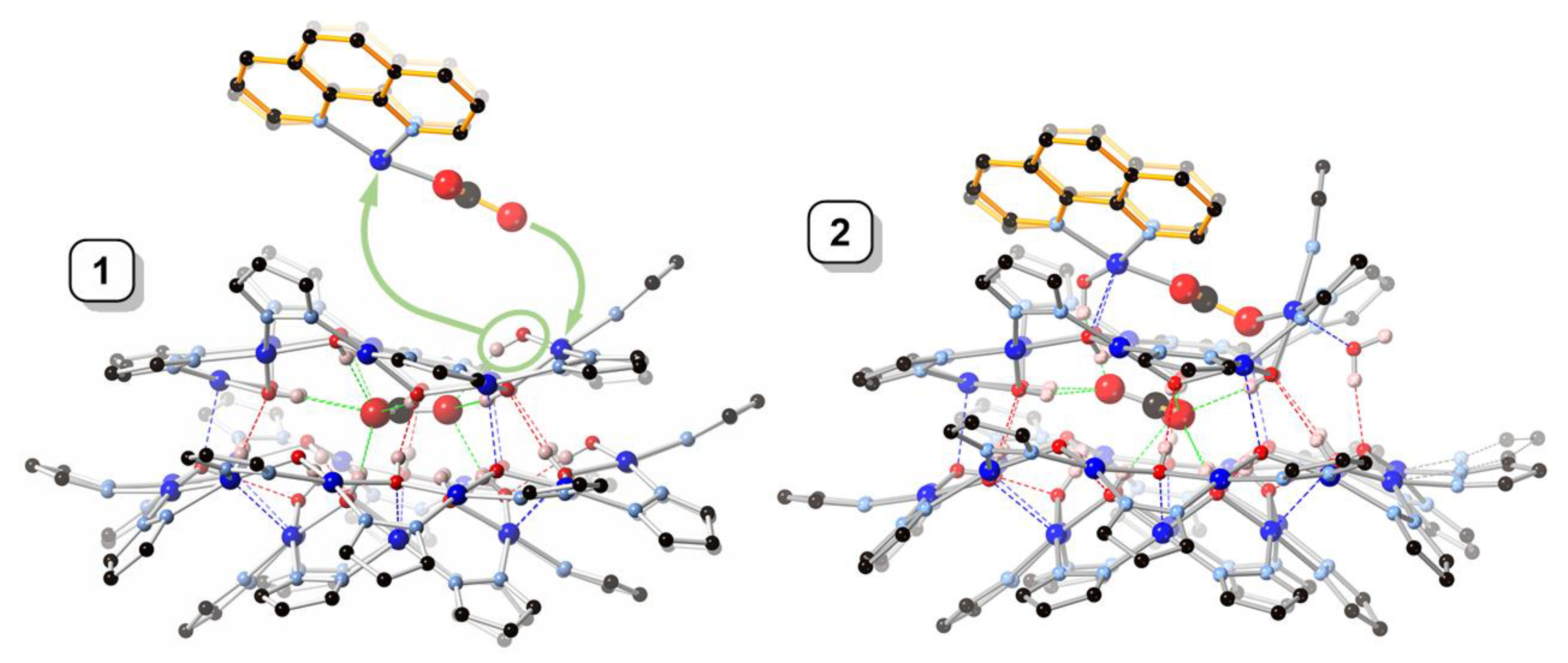 Molecules 26 03083 g004