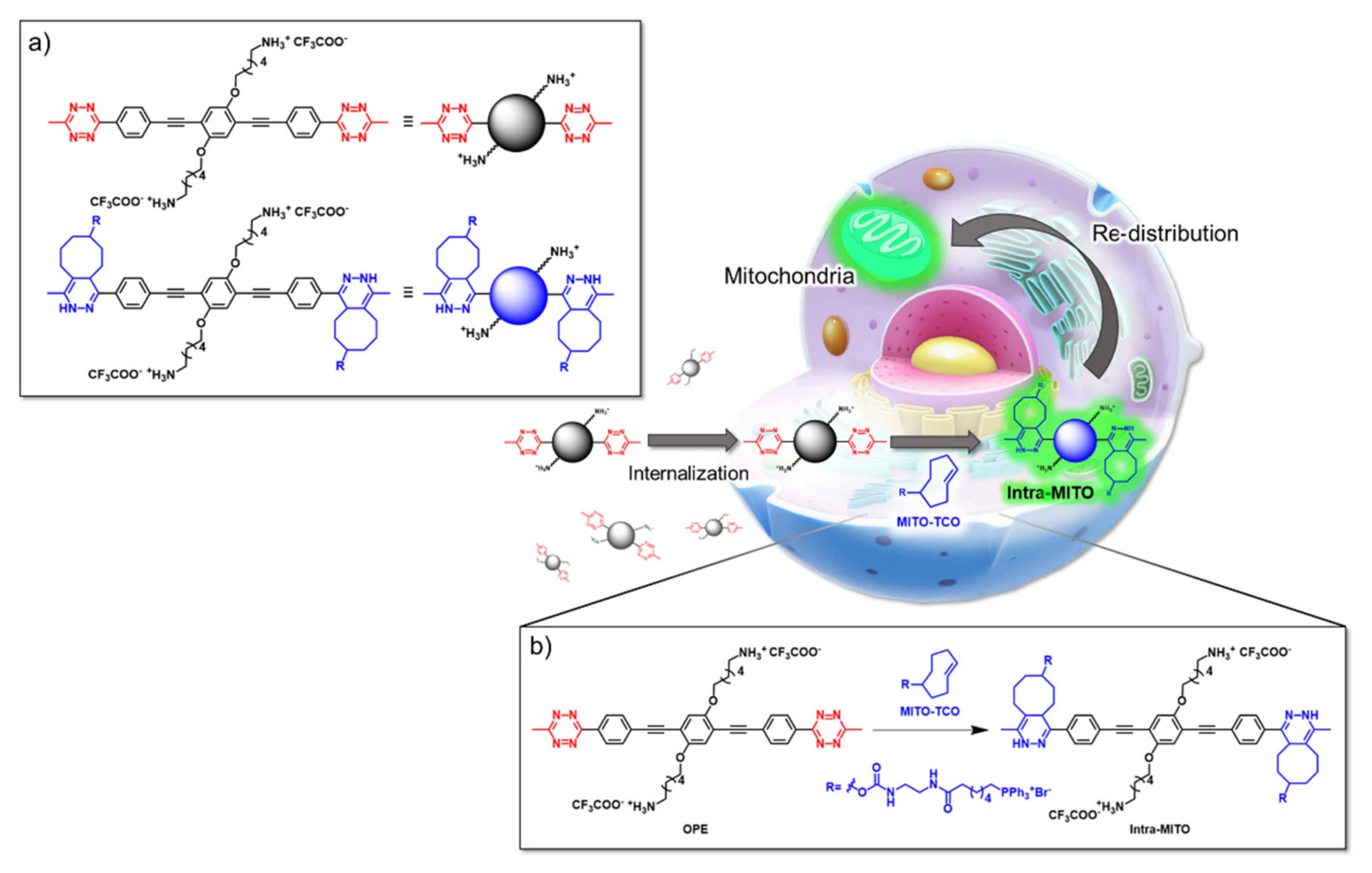 Molecules 26 03088 g002 Molecules 26 03088 g002