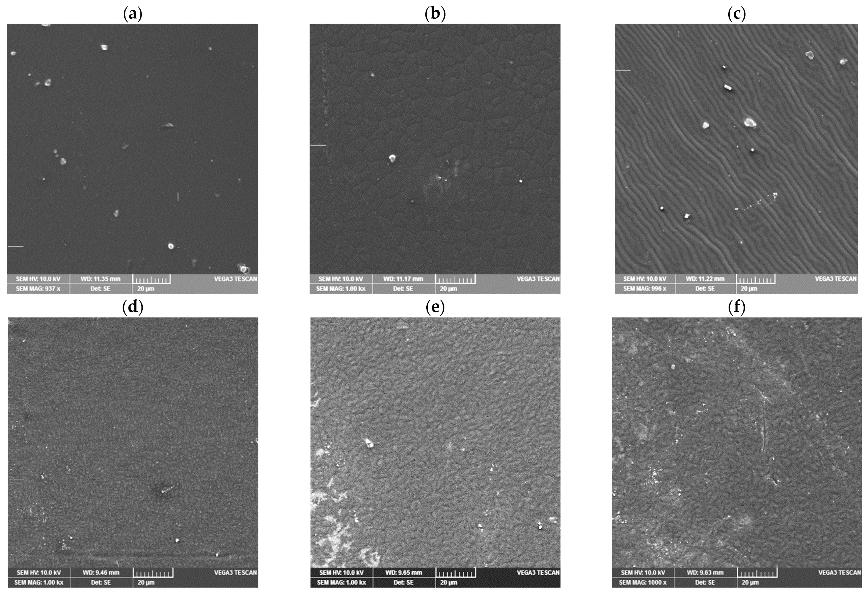 Molecules 26 03090 g006