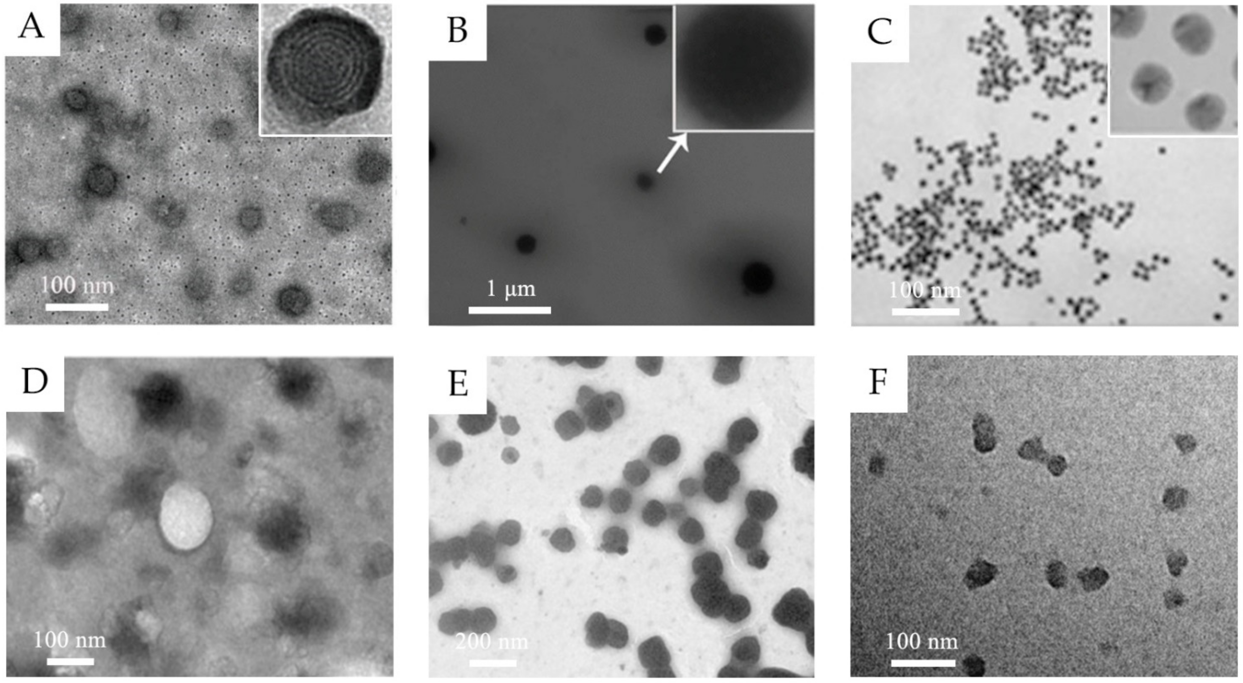 Molecules 26 03093 g001 Molecules 26 03093 g001
