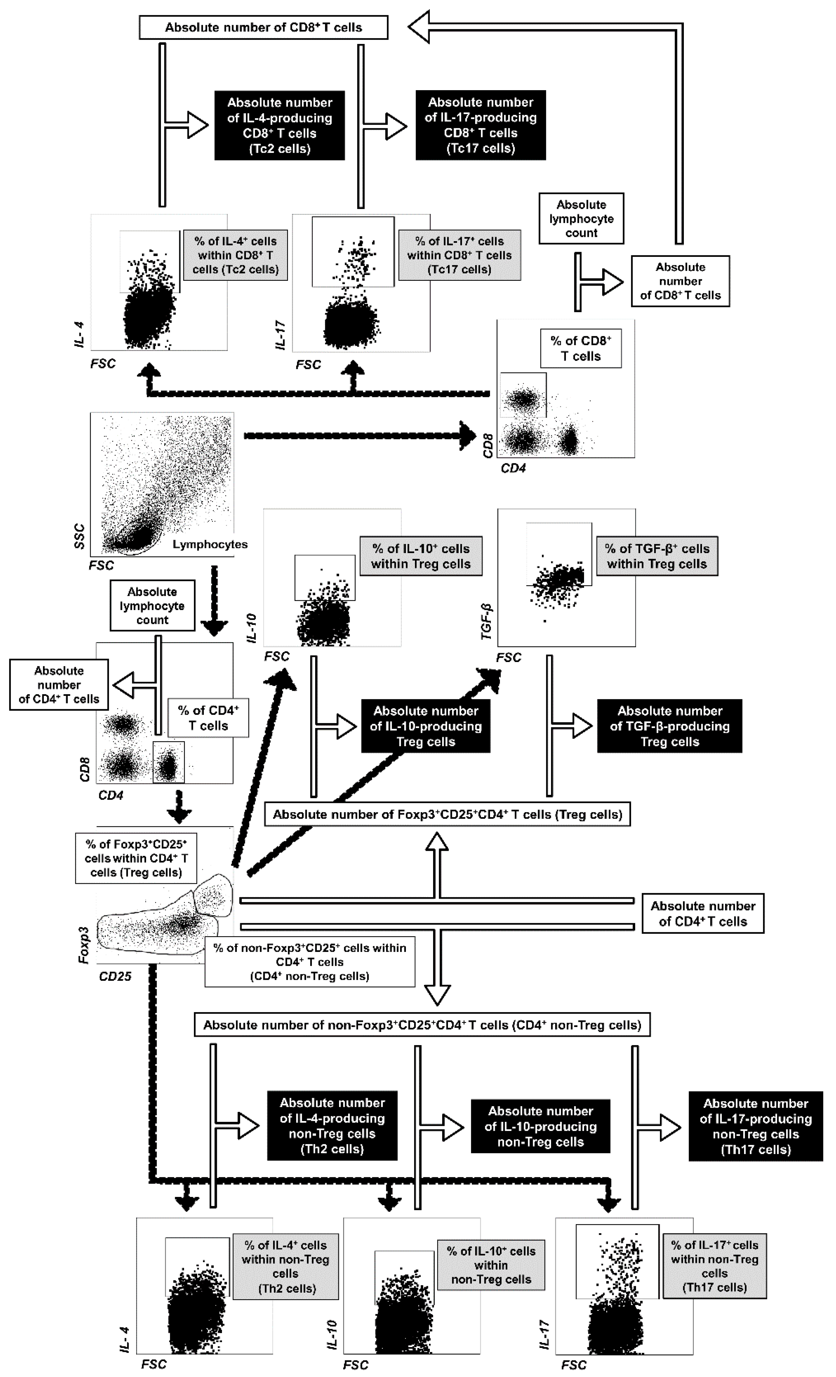 Molecules 26 03117 g008
