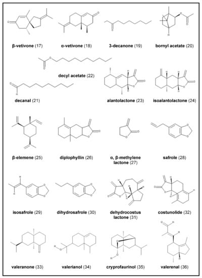 Molecules | Free Full-Text | Back to the Roots—An Overview of the 