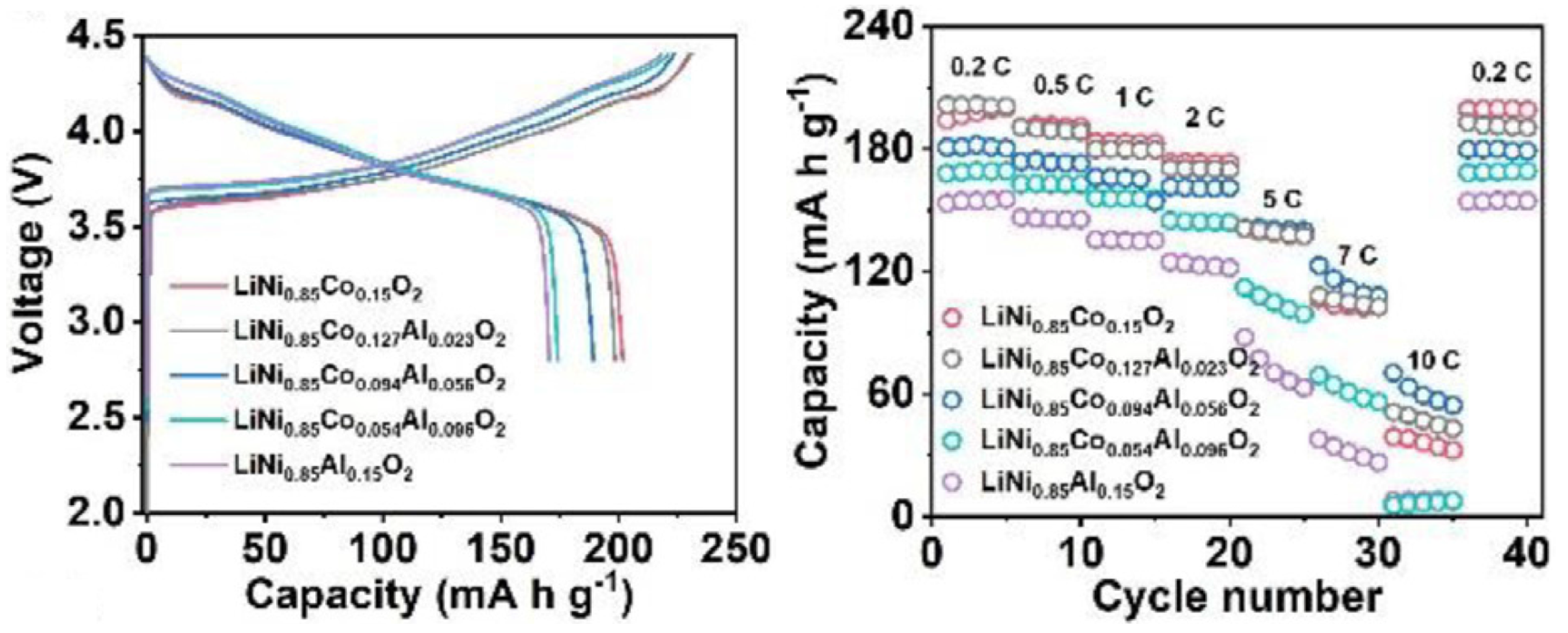 Molecules 26 03188 g012 Molecules 26 03188 g012