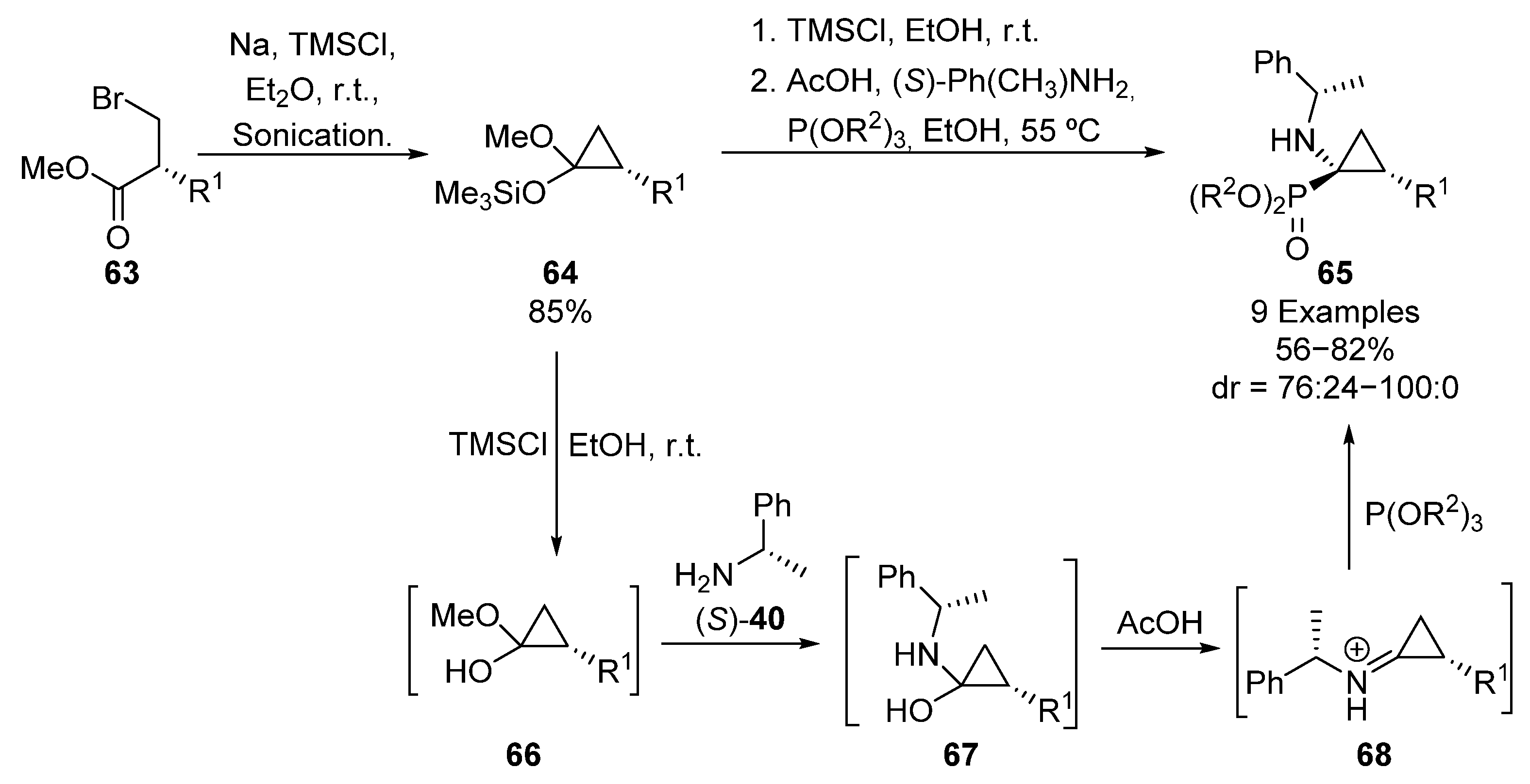 Molecules 26 03202 sch013
