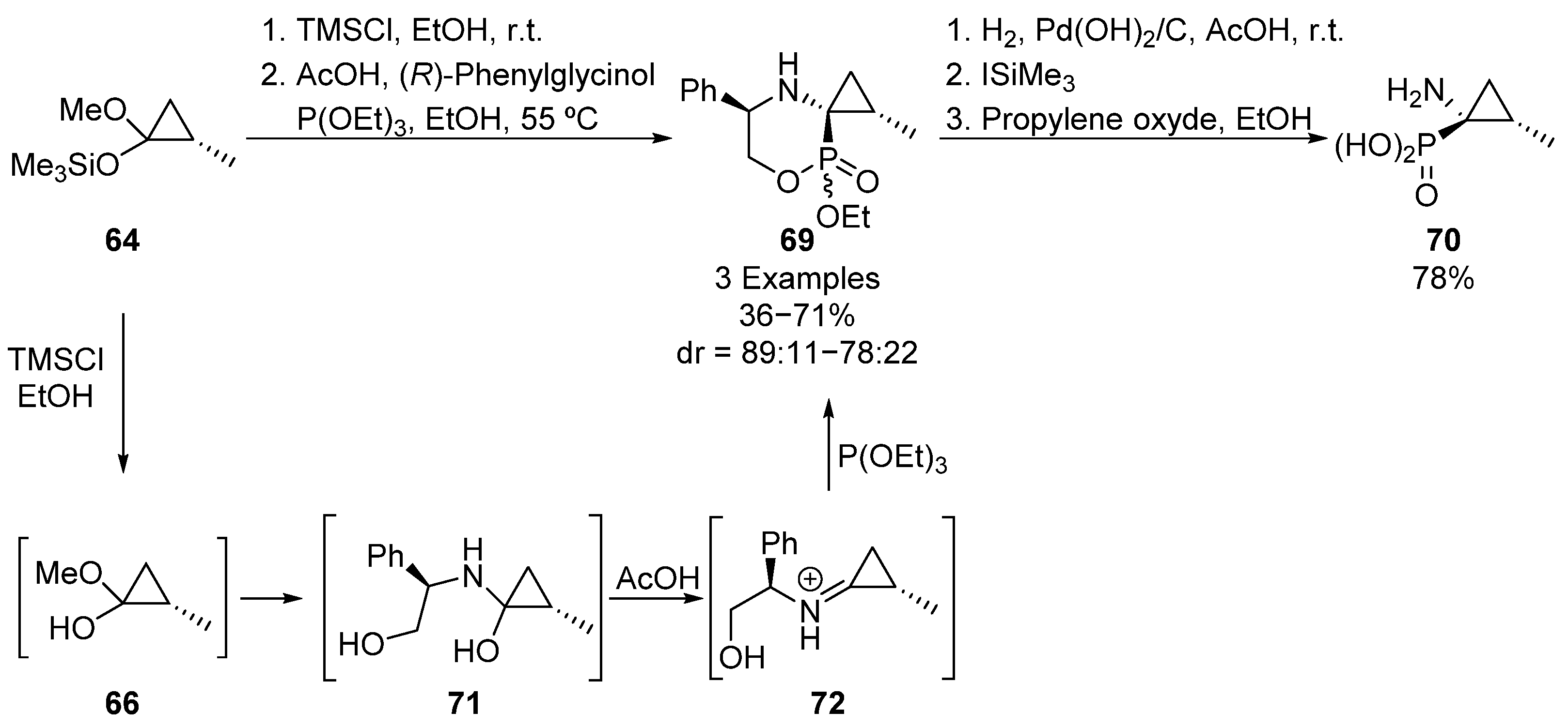 Molecules 26 03202 sch014