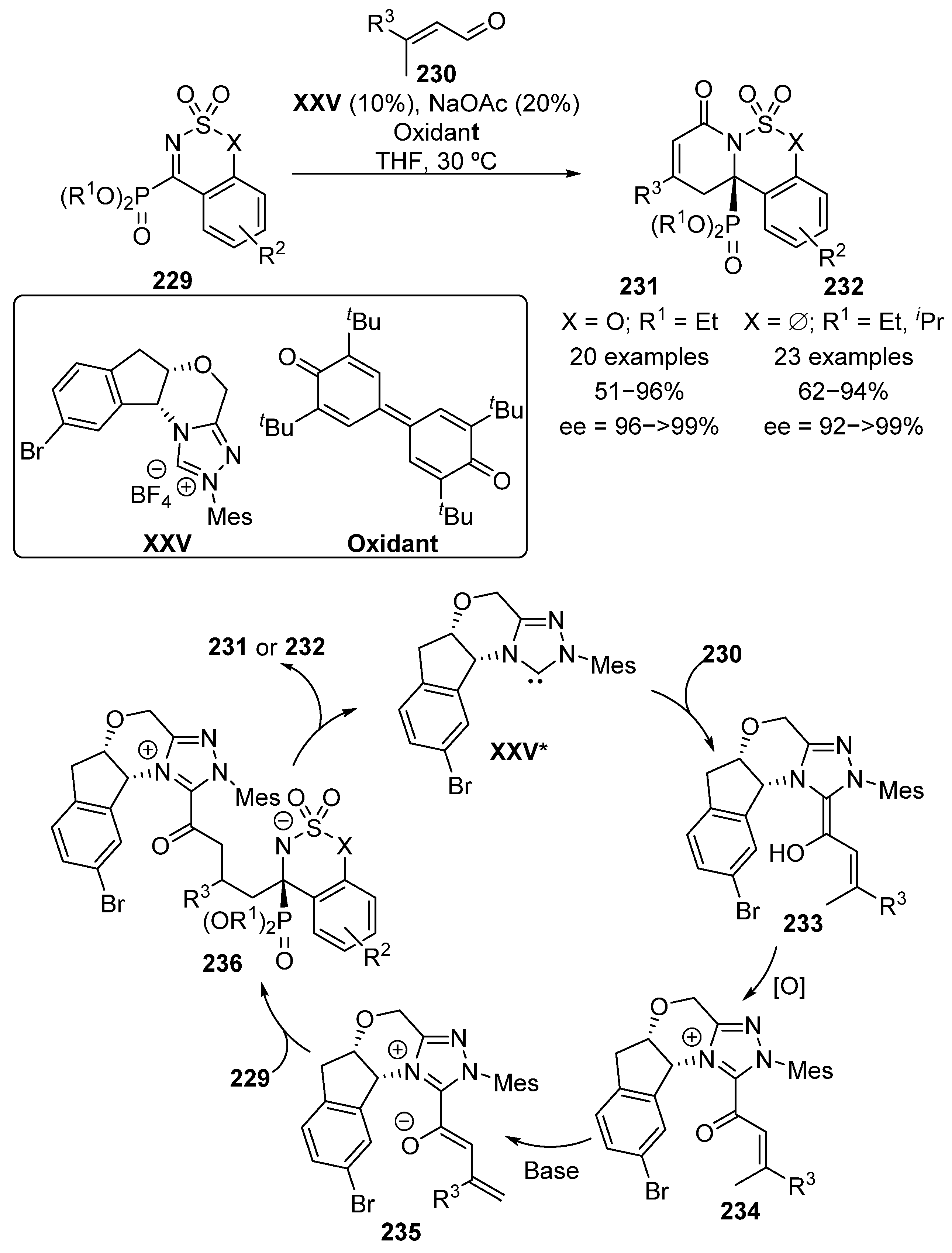 Molecules 26 03202 sch046
