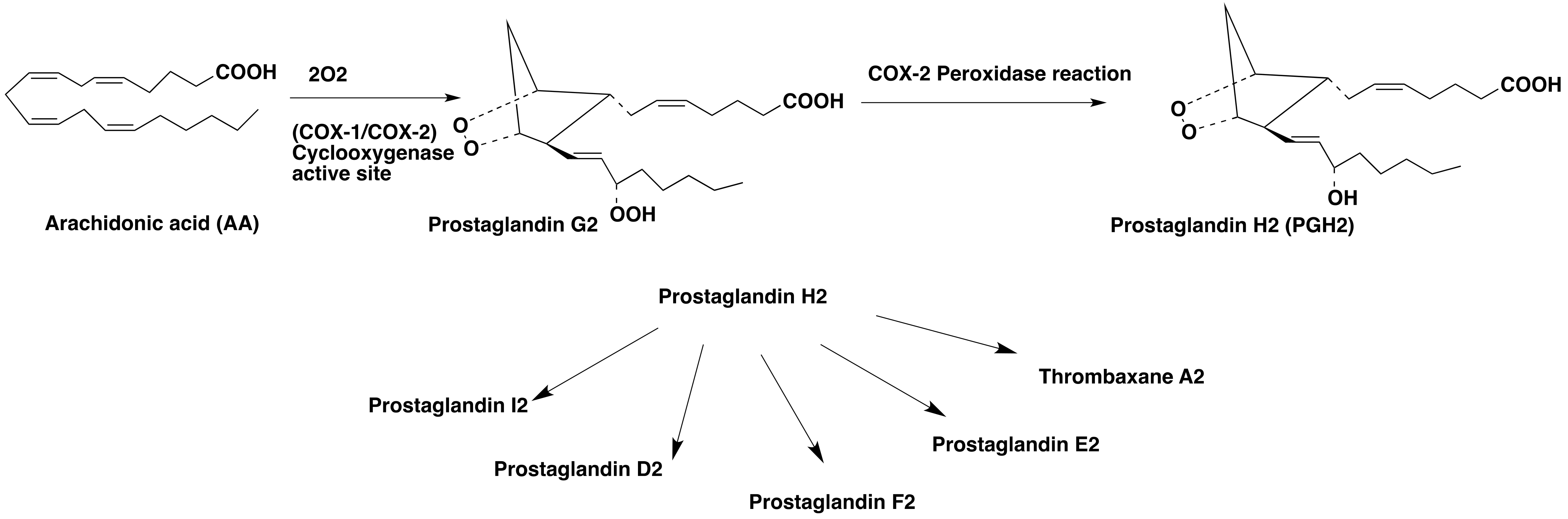 Molecules Free Full Text Progress In Pet Imaging Of Neuroinflammation Targeting Cox 2 Enzyme Html