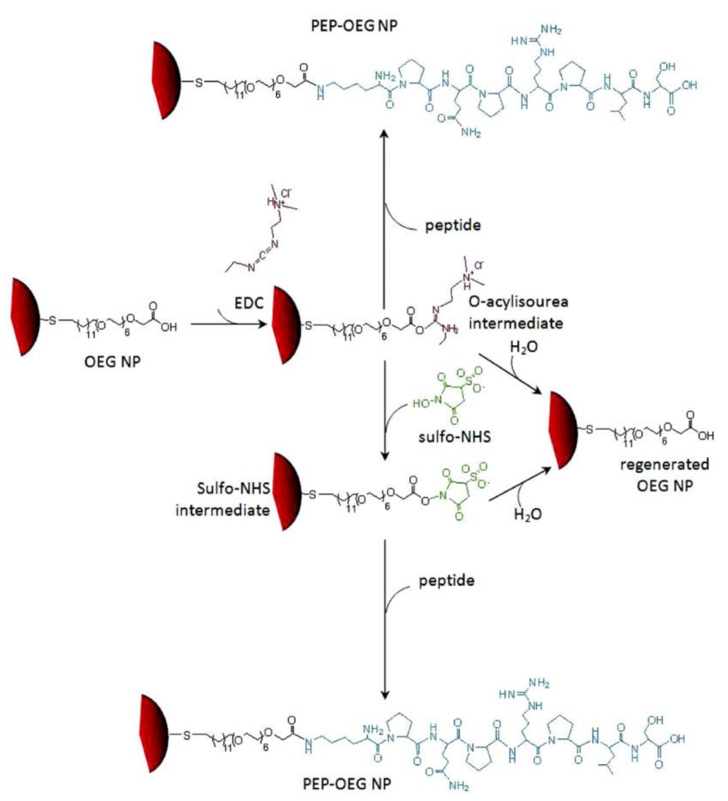 Molecules 26 03228 g002