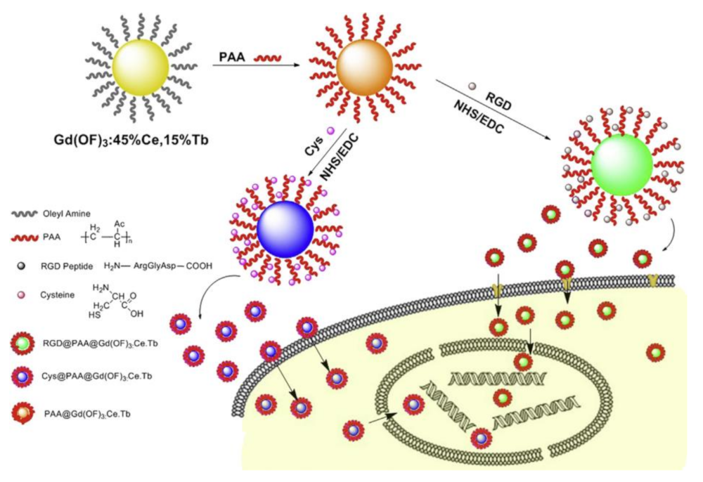 Molecules 26 03228 g006
