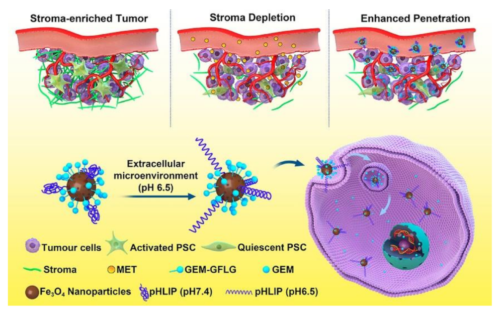Molecules 26 03228 g008