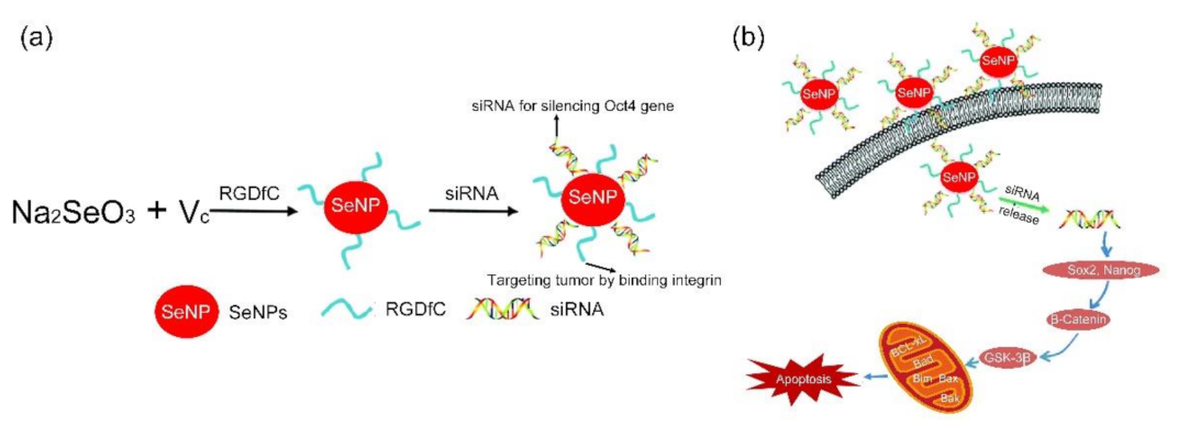 Molecules 26 03228 g010