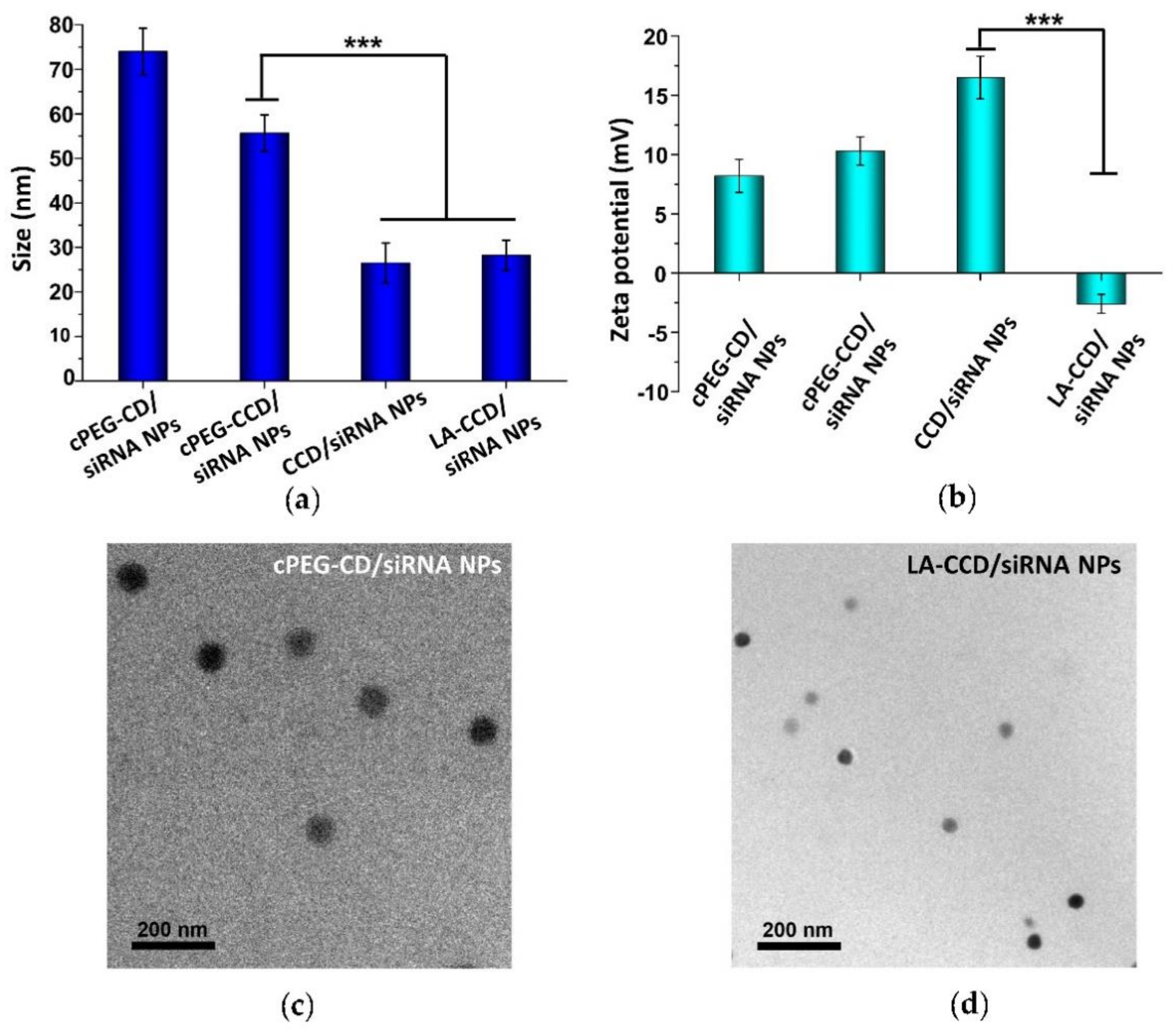 Molecules 26 03238 g012