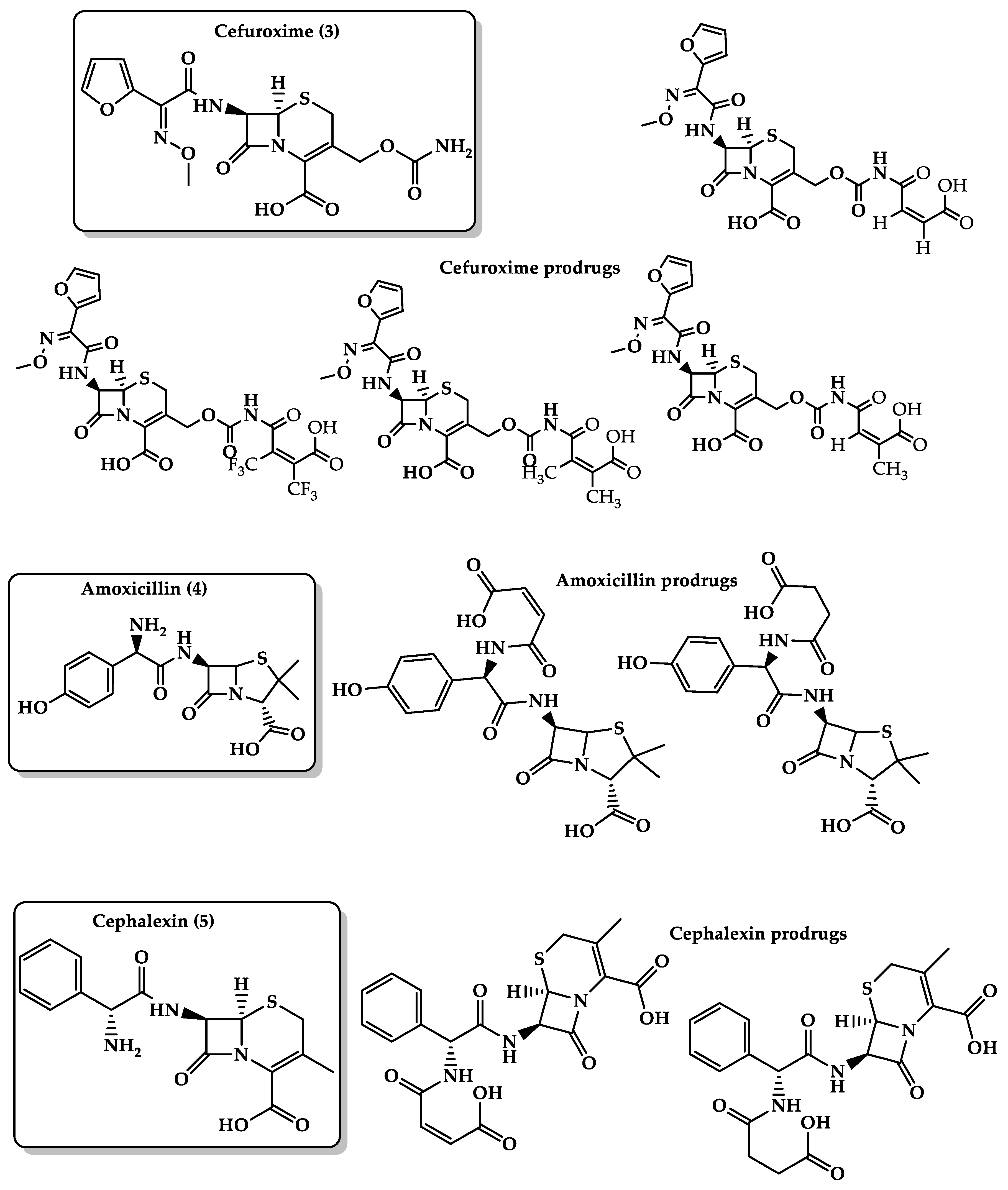Molecules 26 03248 g006 Molecules 26 03248 g006