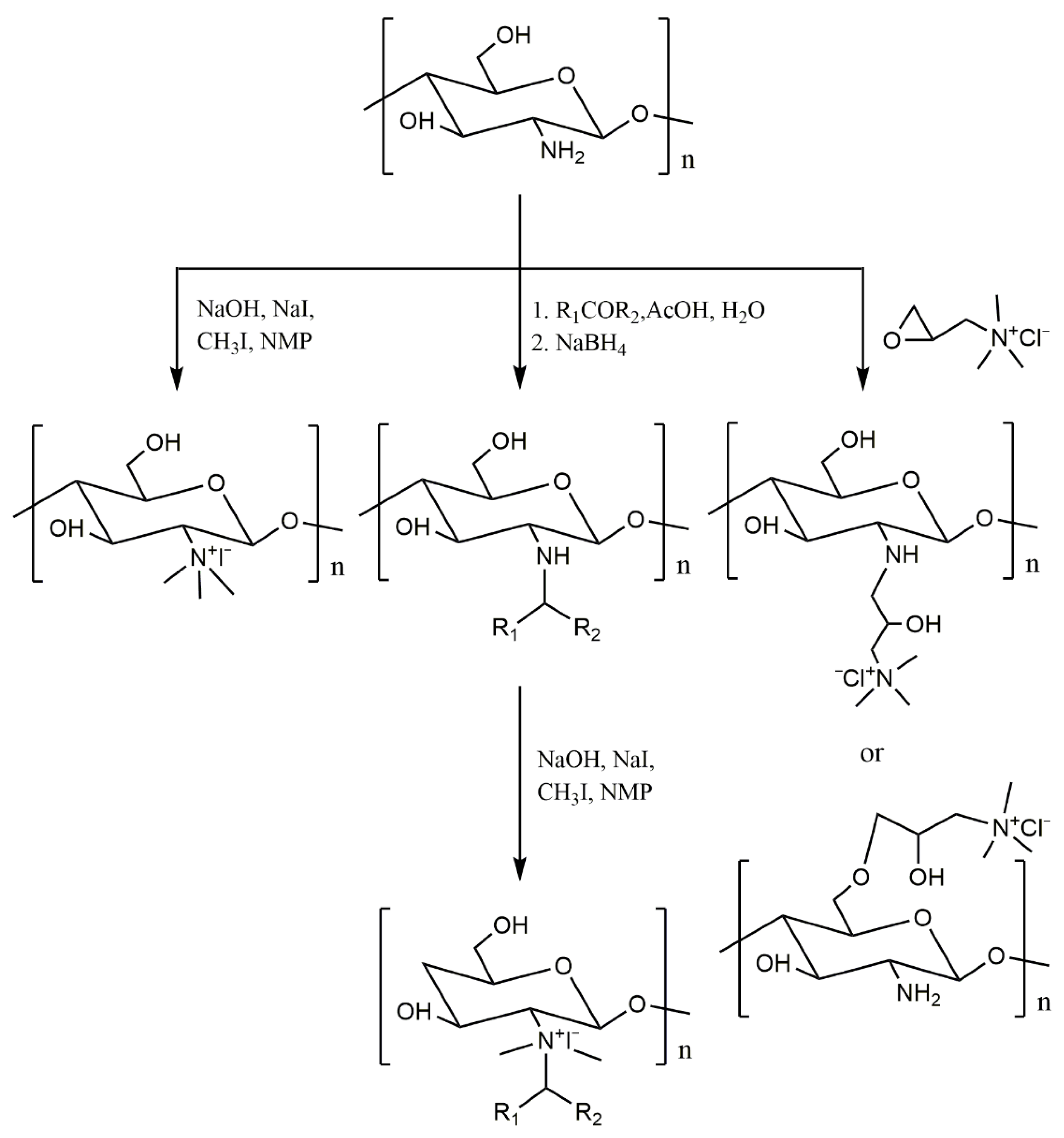 Molecules 26 03250 g002