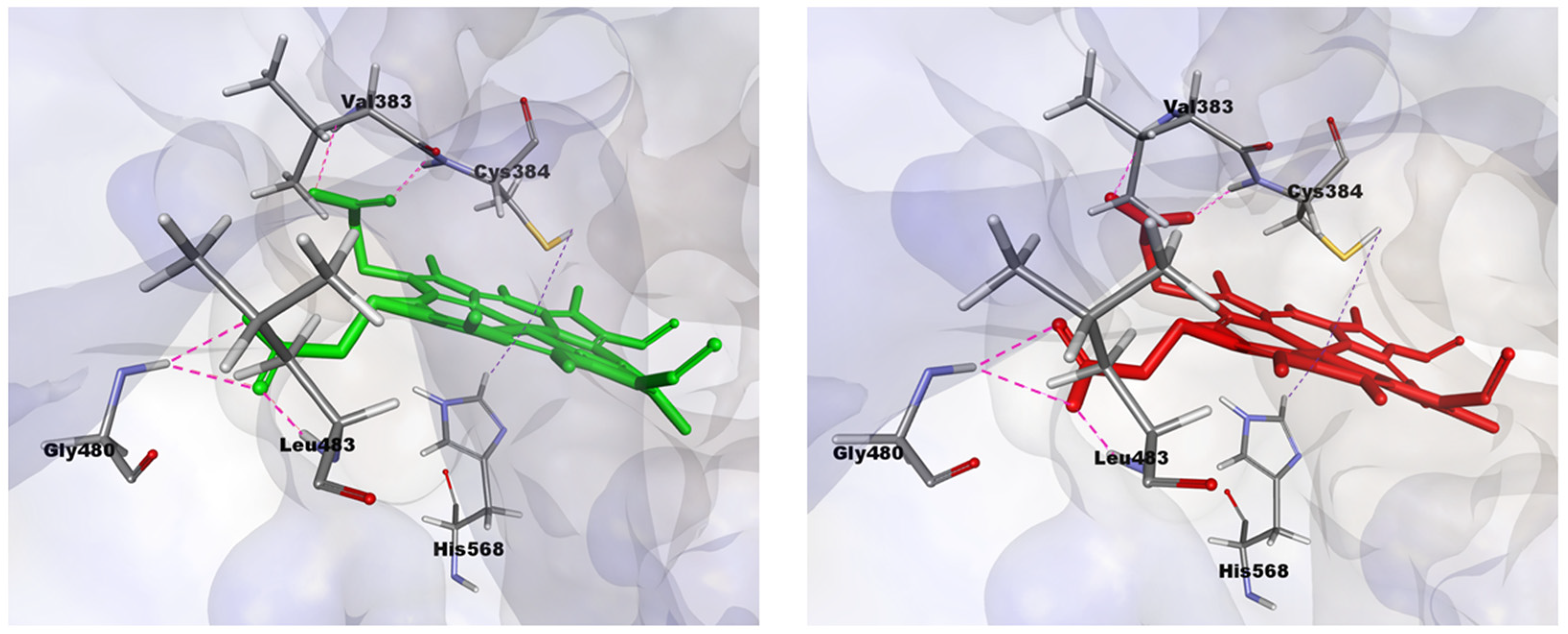 Molecules 26 03251 g004
