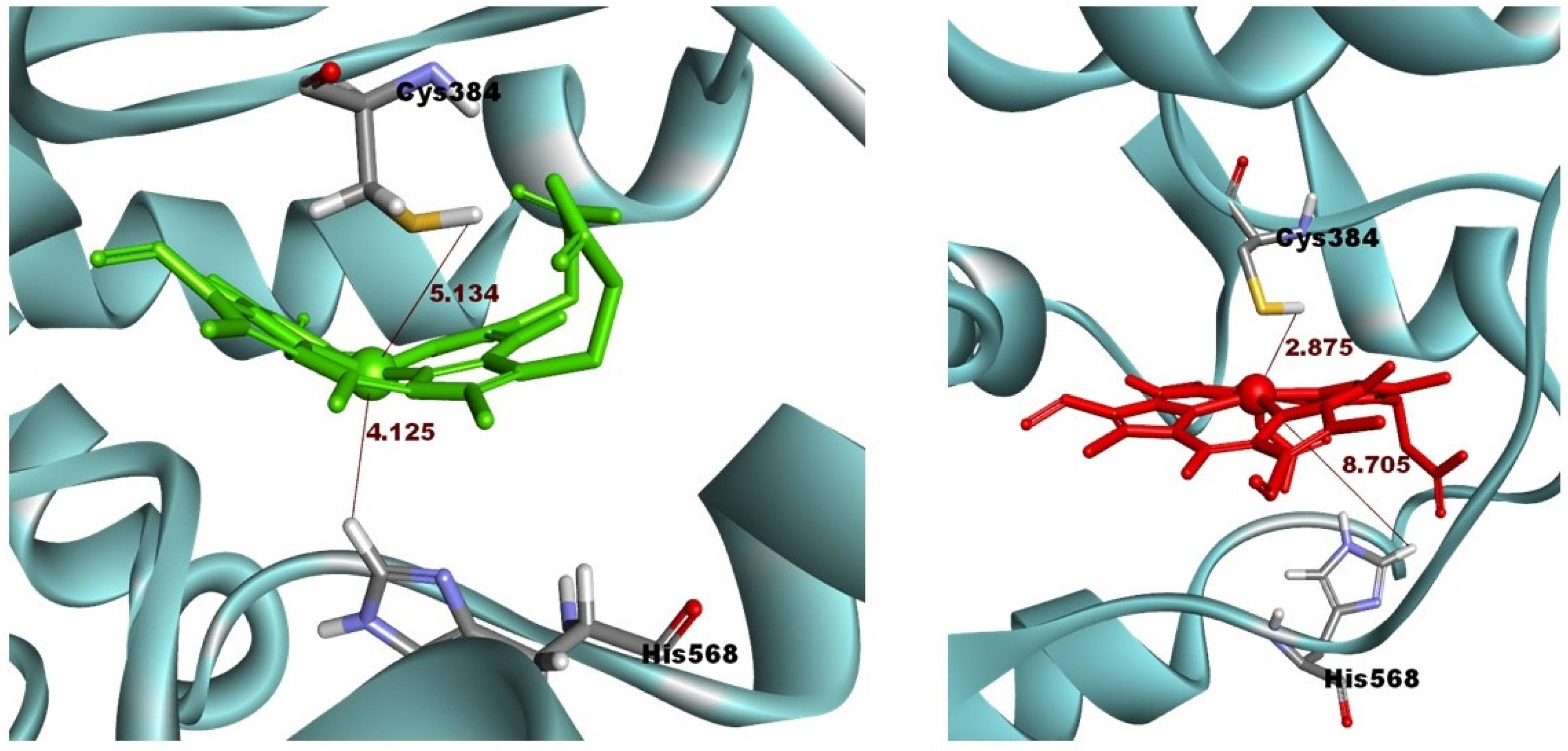 Molecules 26 03251 g010