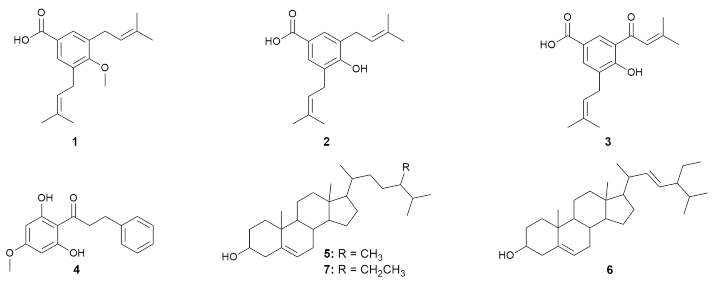 Molecules 26 03256 g001