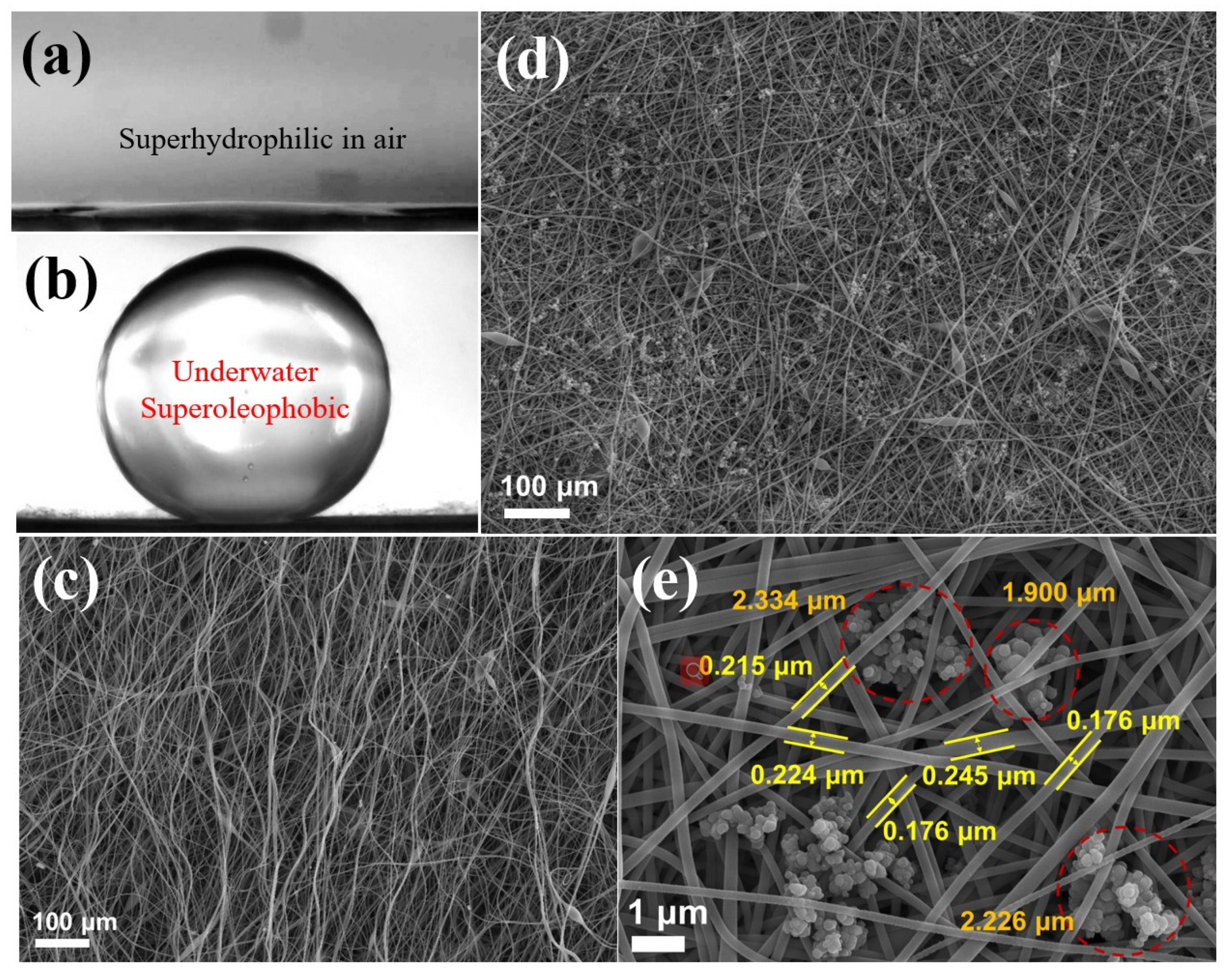Molecules 26 03258 g001 Molecules 26 03258 g001