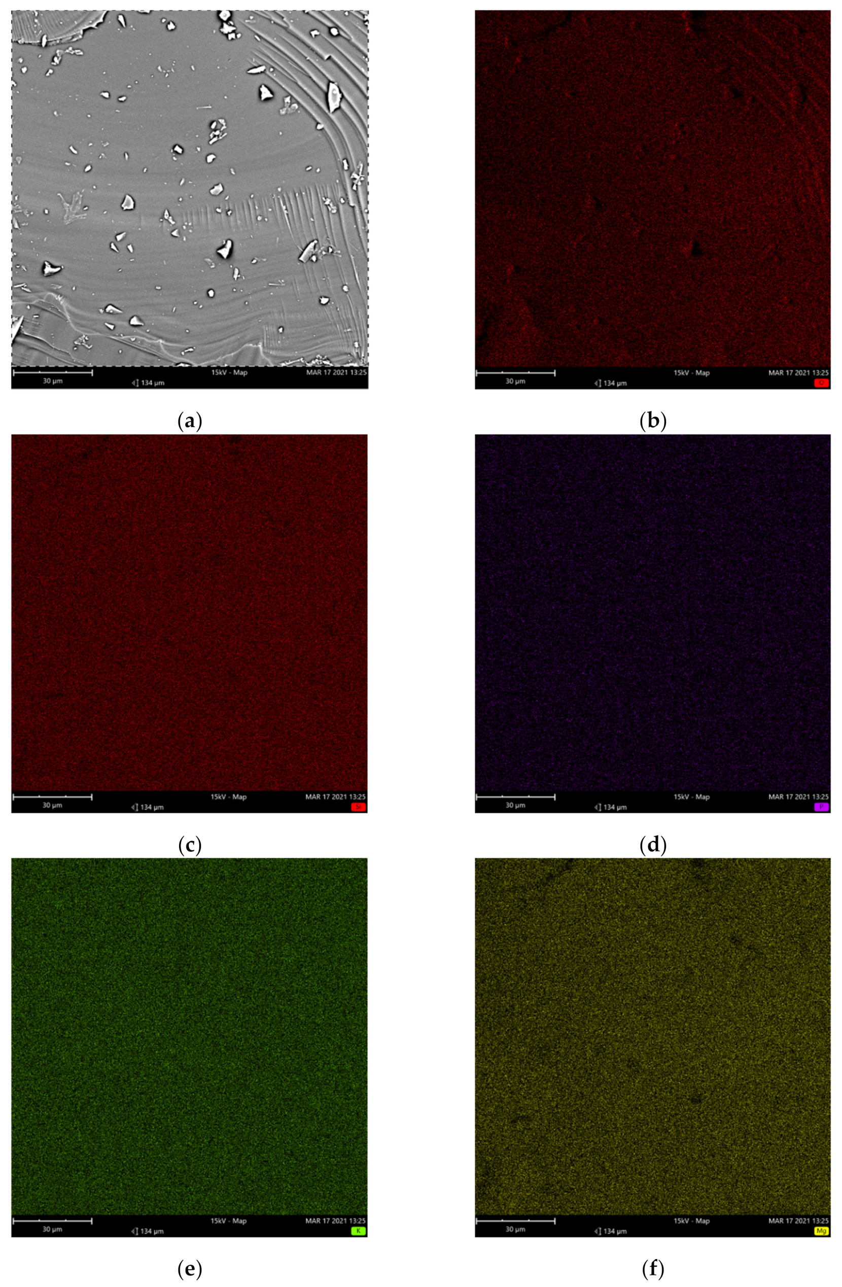 Molecules 26 03263 g002