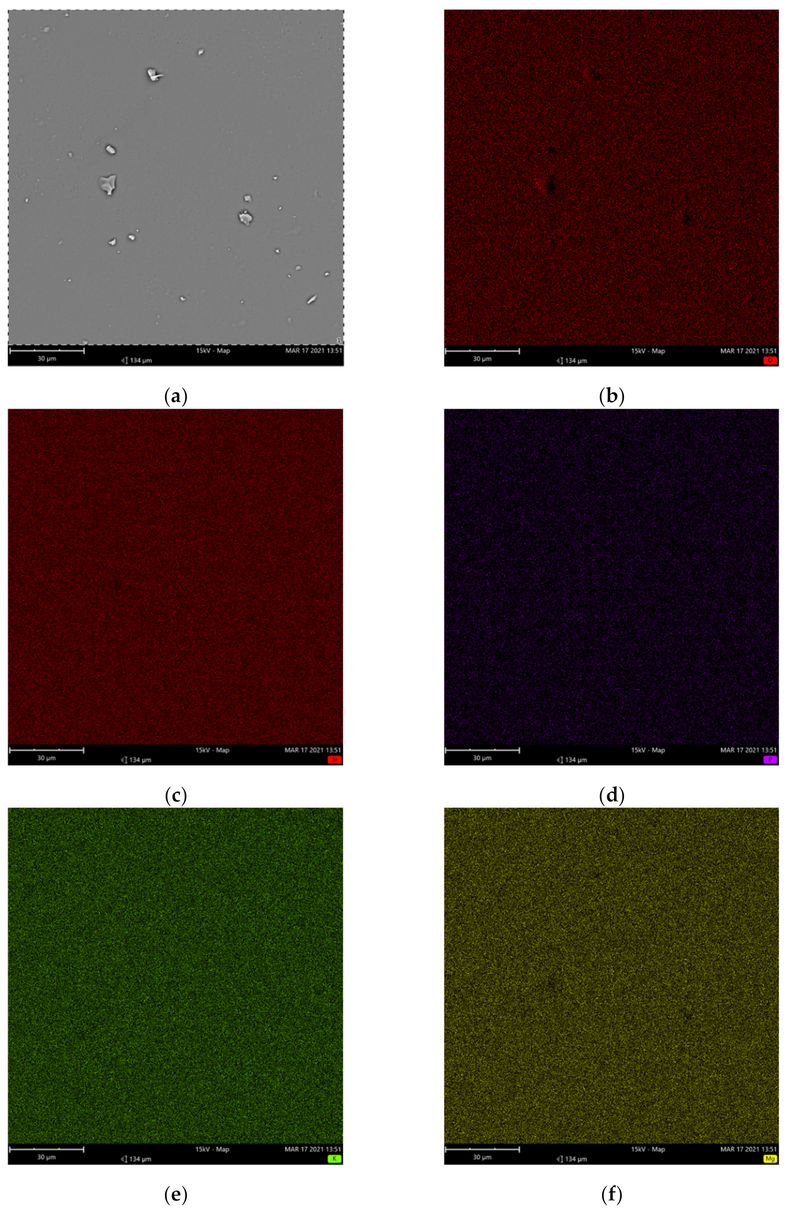 Molecules 26 03263 g003a