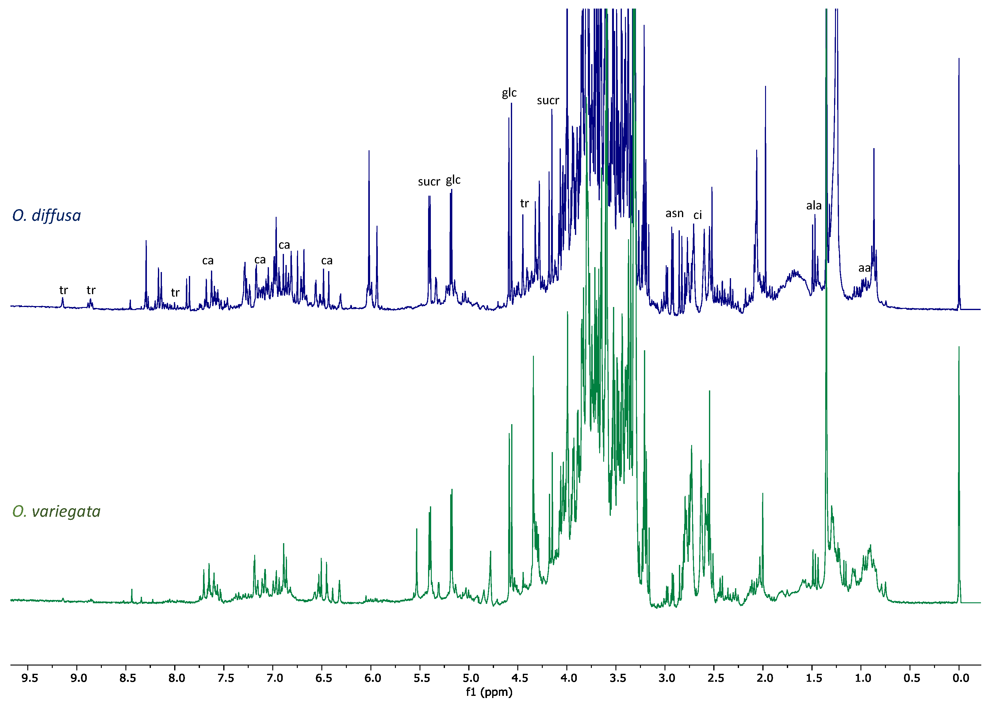 Molecules 26 03266 g003