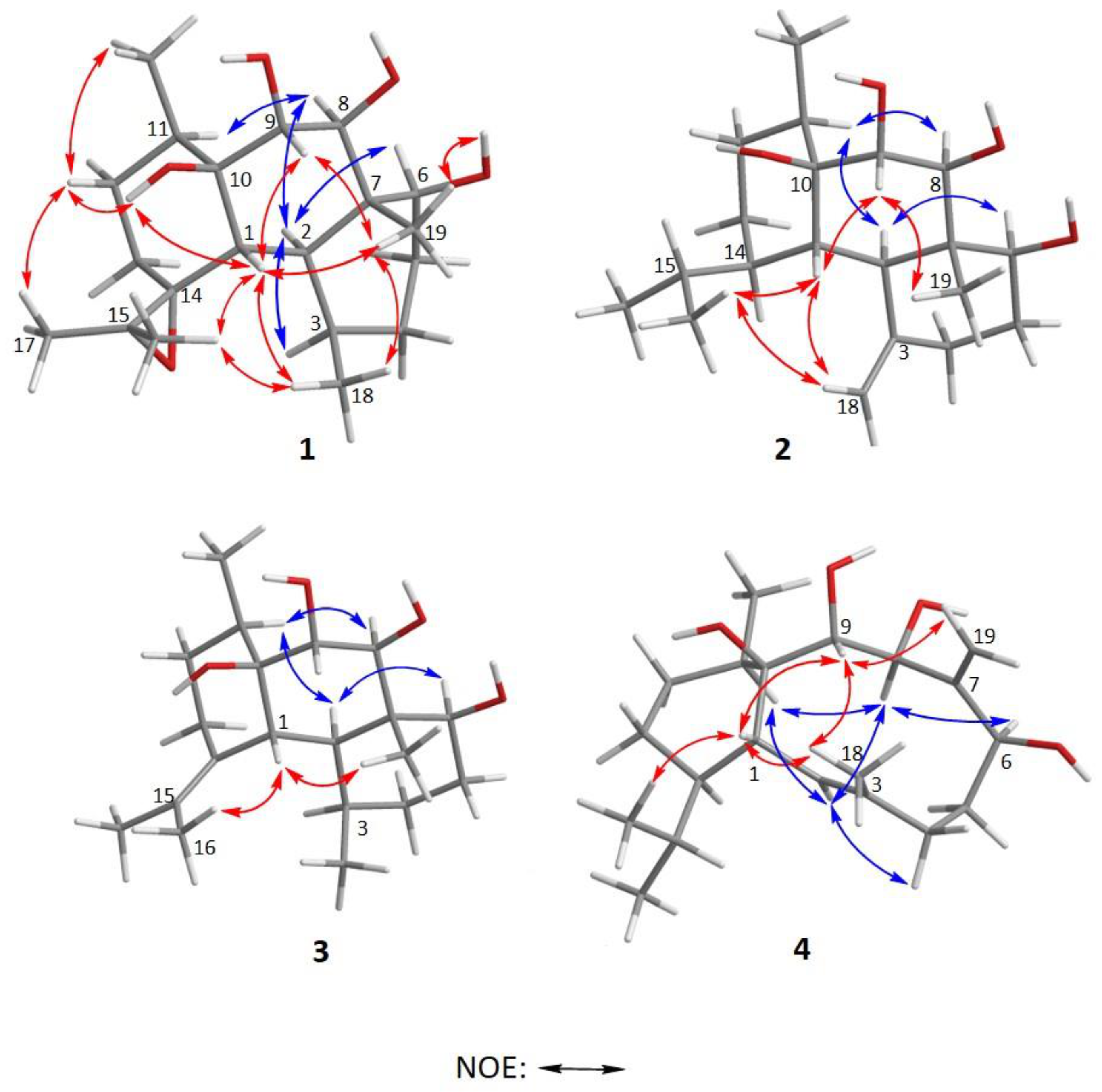 Molecules 26 03276 g003 Molecules 26 03276 g003