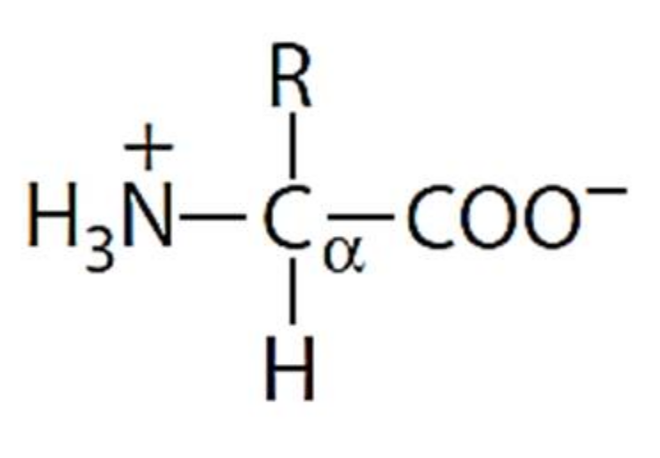 Molecules 26 03279 g002