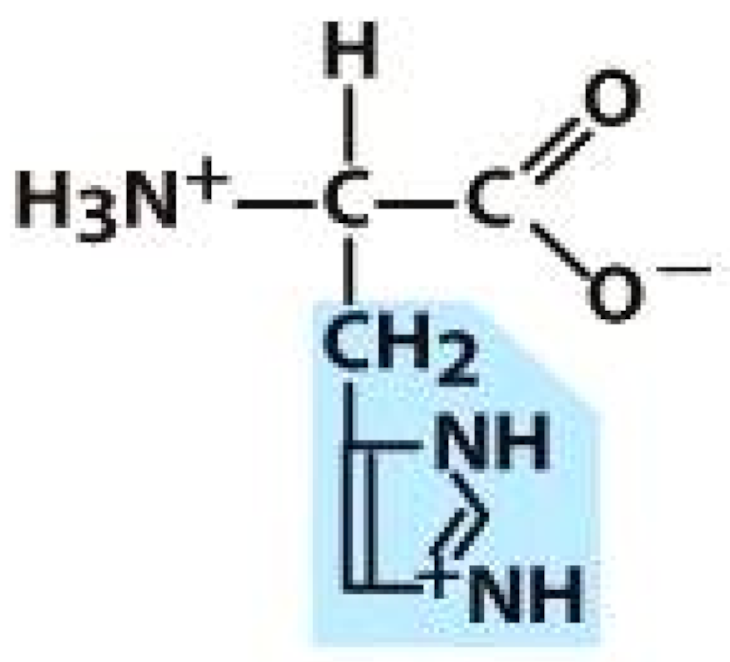 Molecules 26 03279 i004