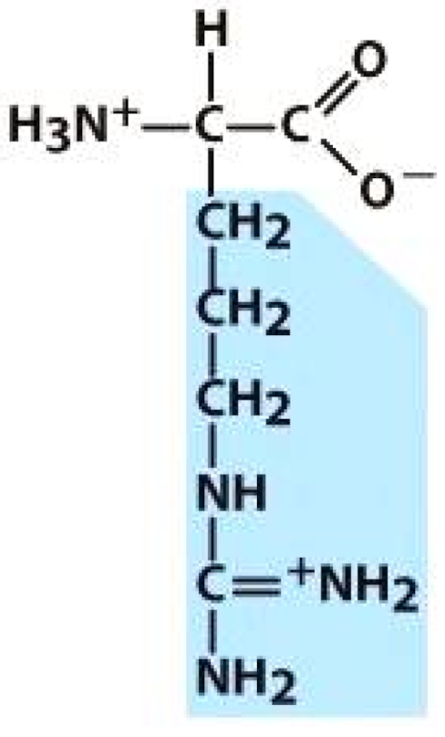 Molecules 26 03279 i008