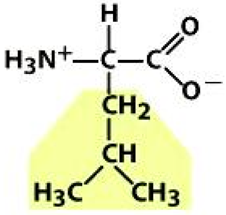 Molecules 26 03279 i012