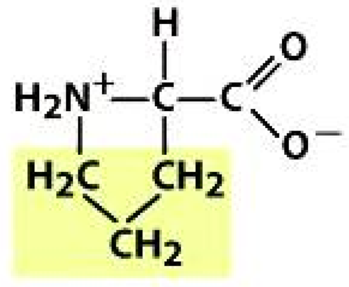 Molecules 26 03279 i016